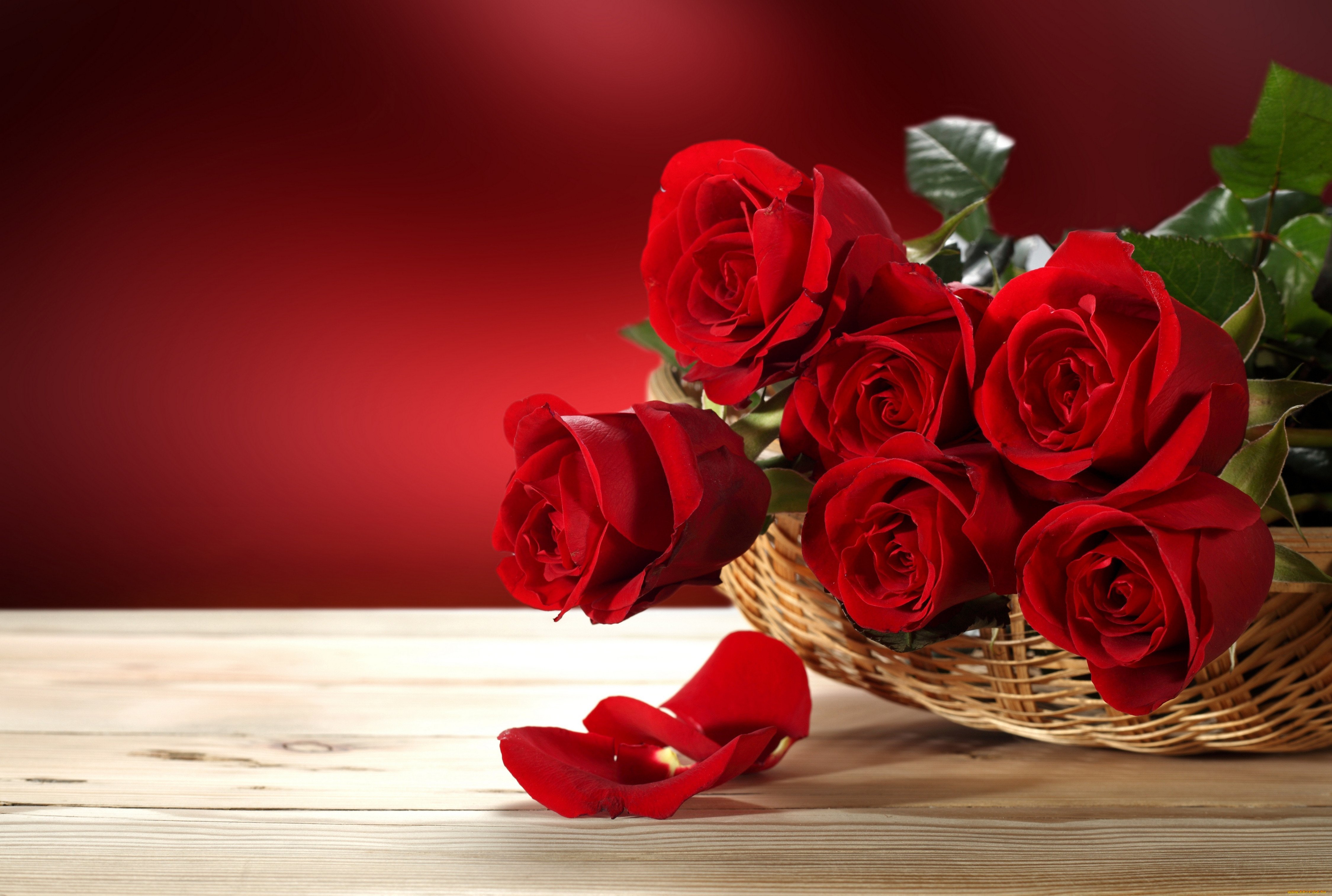 Картинки з днем народження жінці. Открытка цветы. Красные розы. С днем рождения розы. Цветы поздравления.
