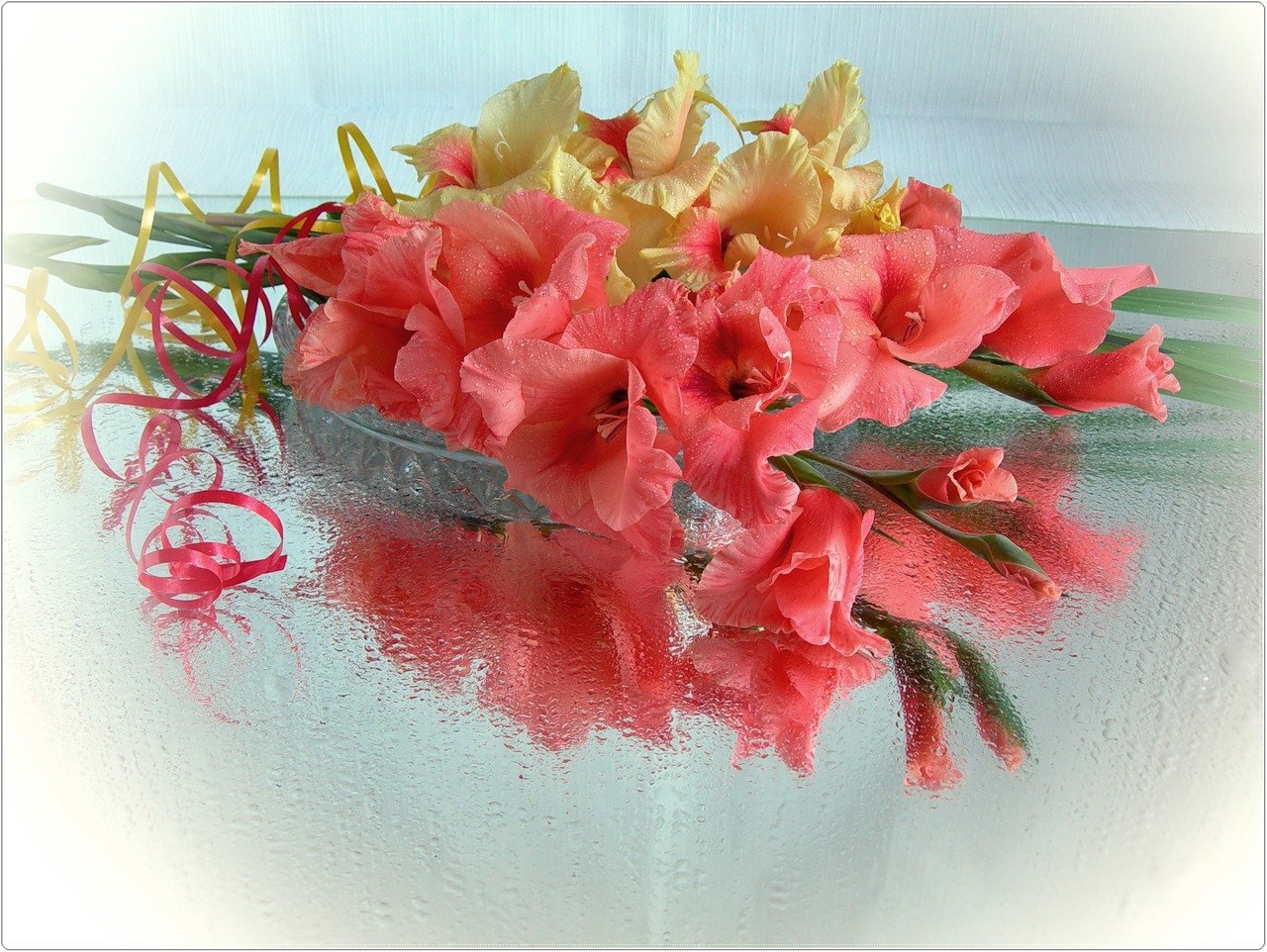 Открытки с днем рождения женщине красивые лидии. Открытка цветы. Поздравляю! (Цветок). Открытки с гладиолусами. Поздравительные открытки с цветами.