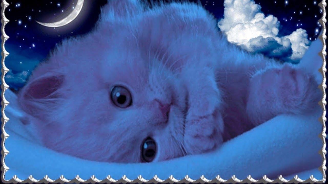 Спокойной ч. Сладких снов красивые. Открытки спокойной ночи. Добрых нежных снов. Спокойной ночи котики.