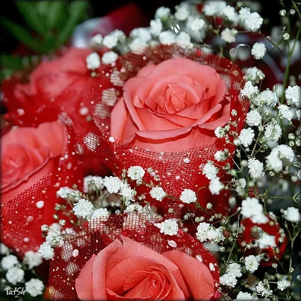 Мерцающие розы с днем рождения женщине красивые. Прекрасной женщине цветы. Открытки с цветами красивые. Красивой женщине красивые цветы.