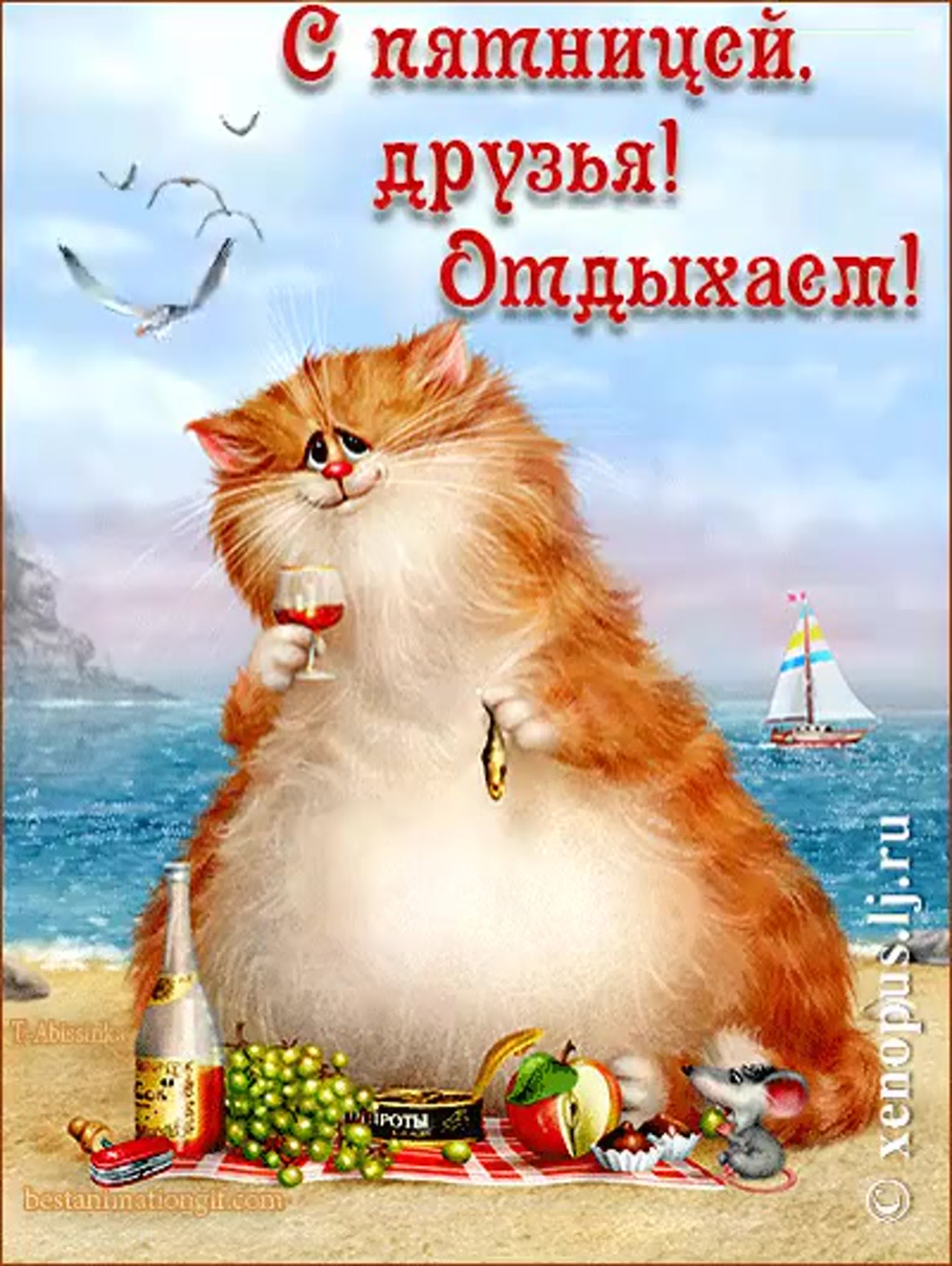 Толстый день добрый. Забавные кошки Алексея Долотова. Открытка «котики». Открытки с котами прикольные. Открытка "кот".