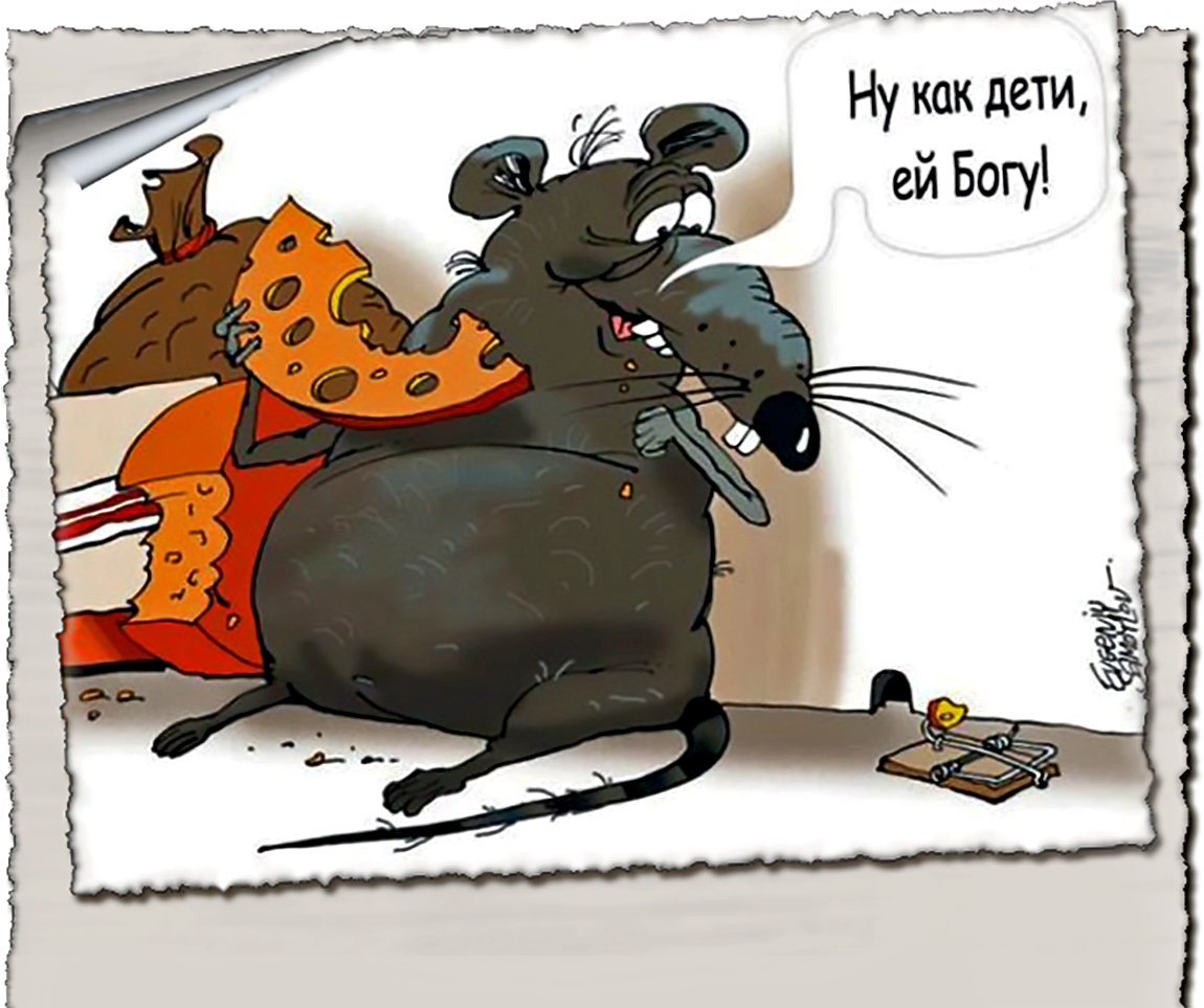 День крысы картинки прикольные. Оптимизм карикатура. Крыса карикатура. Крысеныш карикатура. Крыса карикатура смешная.
