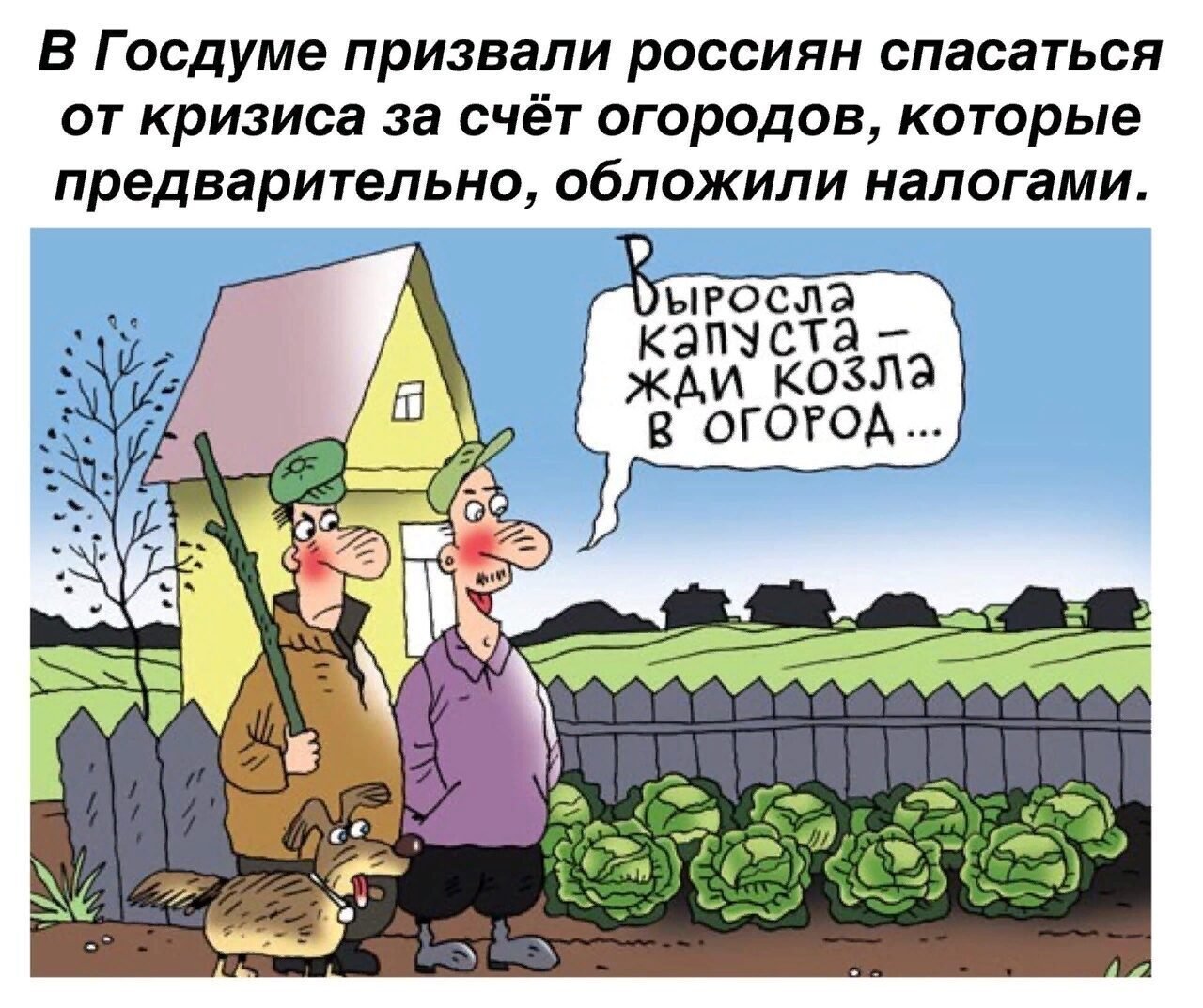 Налог на урожай. Огород карикатура. Веселые карикатуры. Шутки про огород. Карикатура дача огород.