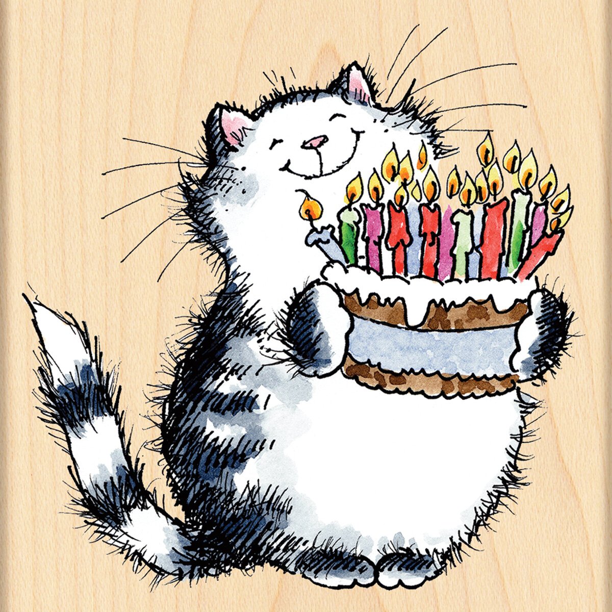 Поздравление кота с днем рождения