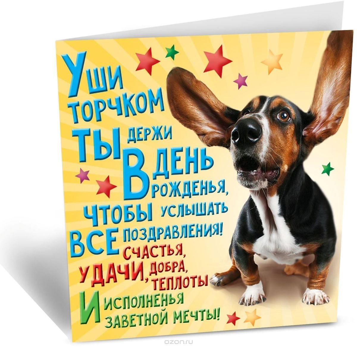 2 июля - Международный день собак! - Поздравления - mountainline.ru собаки - ретриверы