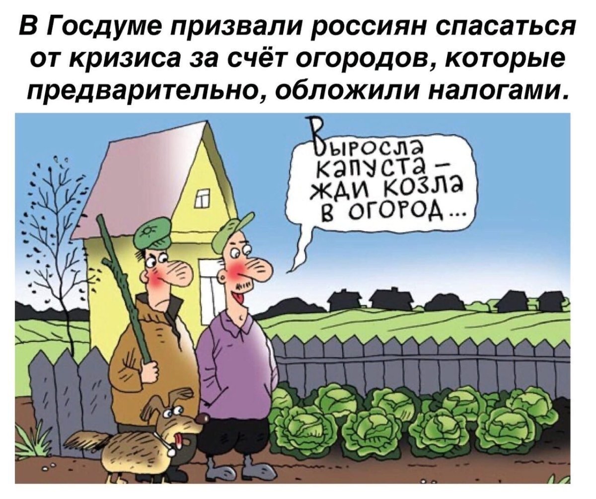 Петр Козич карикатуры