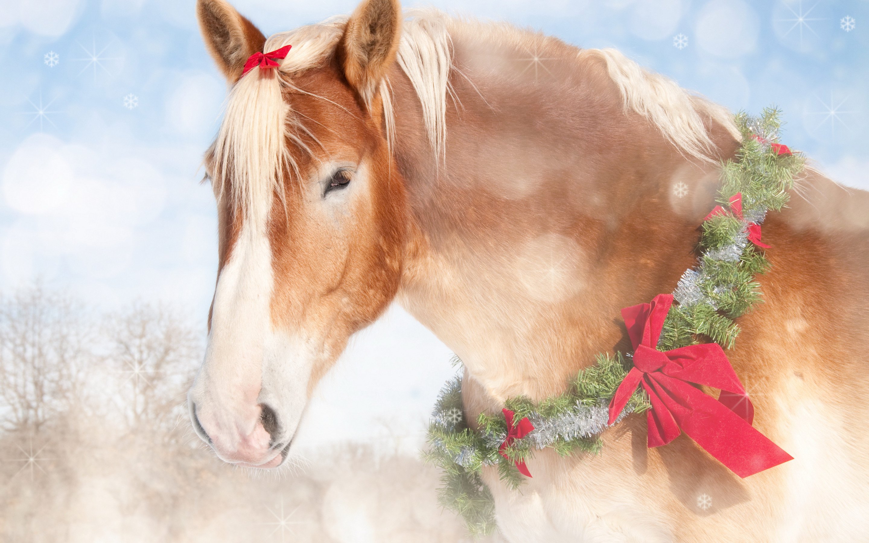 2015 год лошадь. Новогодняя лошадь. Лошадь новый год. Лошади зимой. Новогодние лошадки.