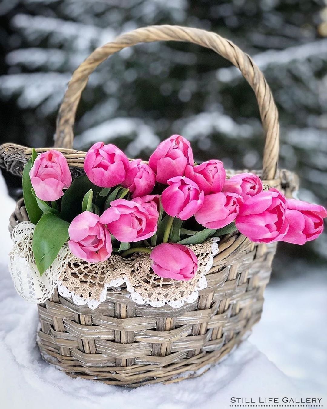 Доброе утро счастье и радости. Корзина с цветами. Весенние цветы в корзине. Красивые весенние цветы в корзине. Корзинка с цветами открытка.