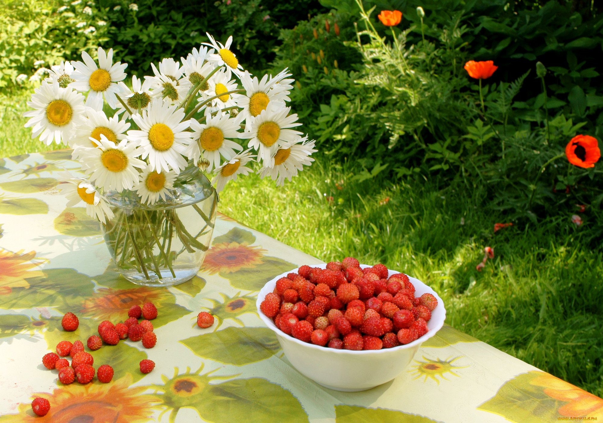 Утро картинки красивые летние. Лето природа земляника и Ромашка. Лето ягоды цветы. Прекрасного летнего дня. Хорошего летнего дня.