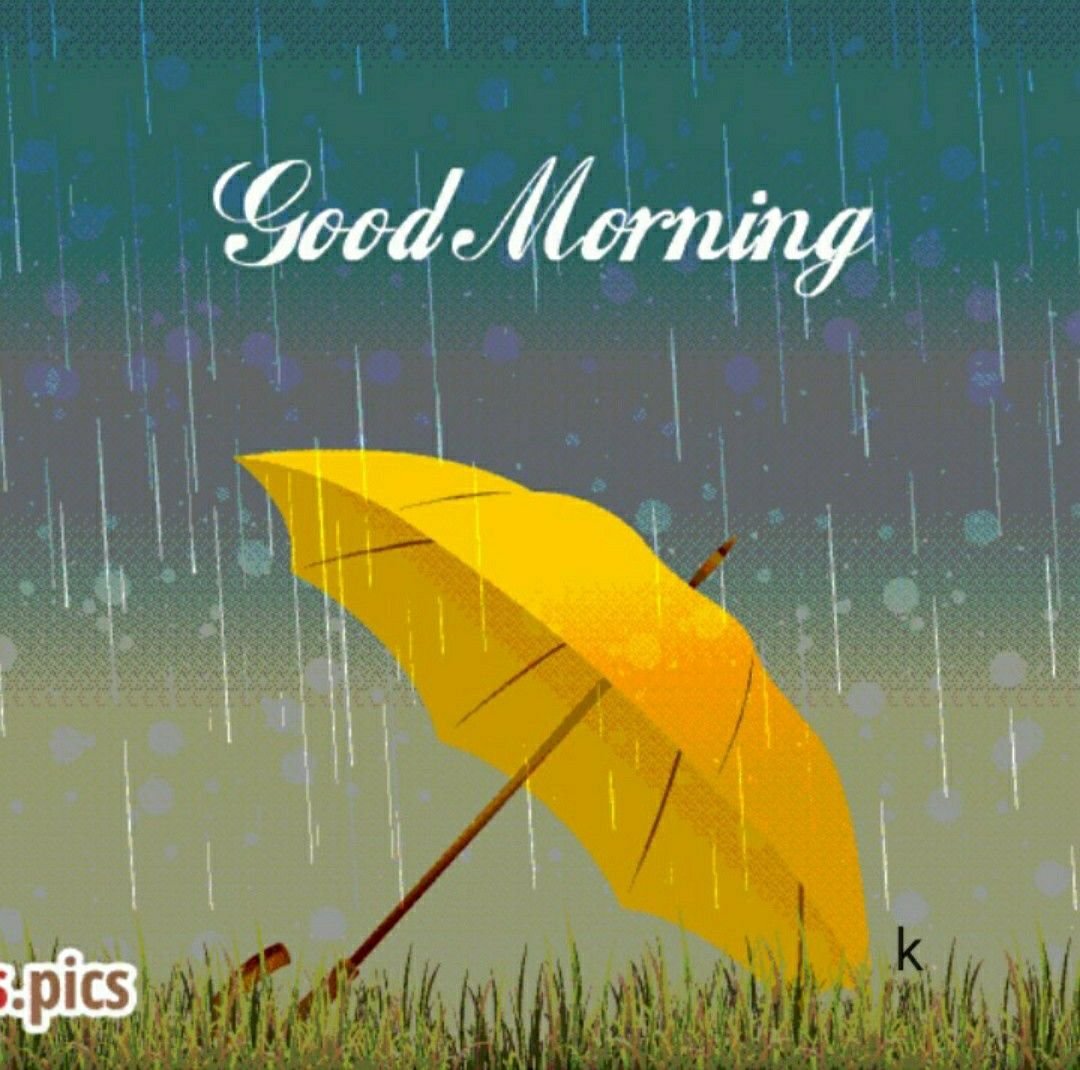 Дождливое утро четверга