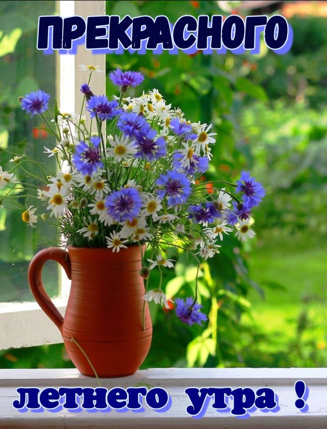 Летнего утра пожелания. Цветы на окне. Растения на подоконнике. Цветы на подоконнике летом. Летнее утро.