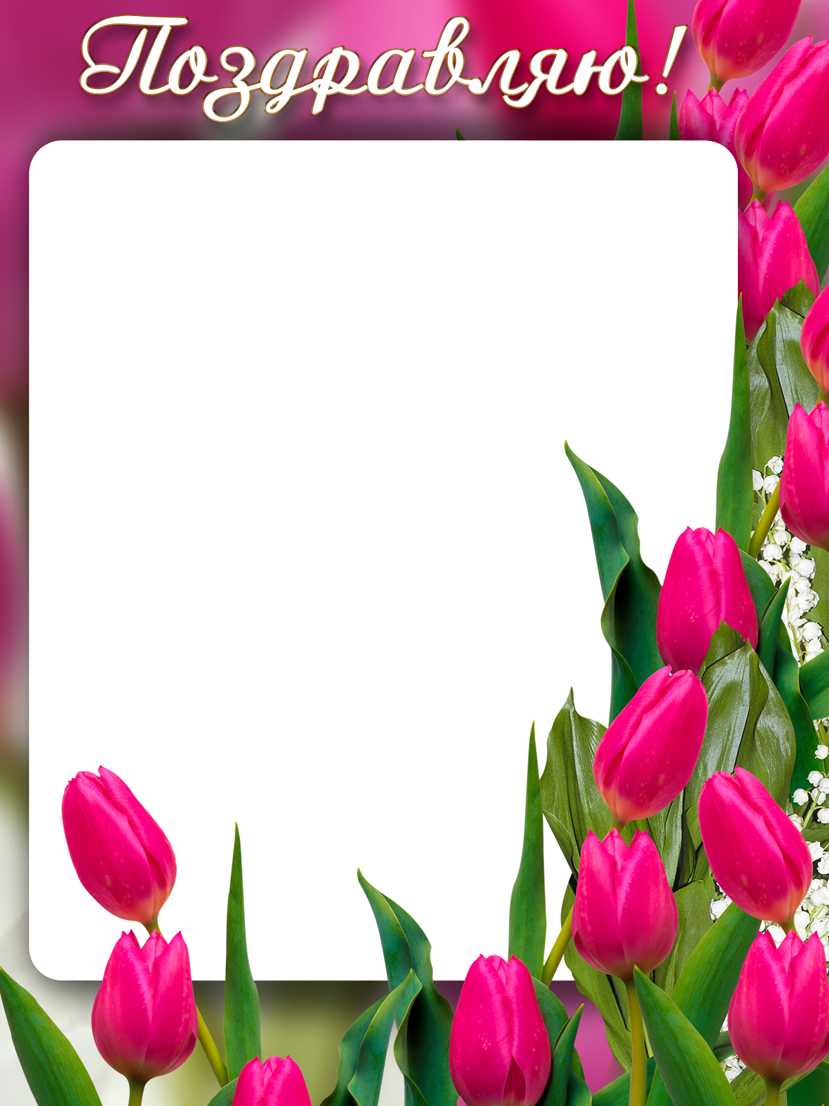 Открытка на 8 без текста. Тюльпаны рамка. Красивые рамки с тюльпанами.