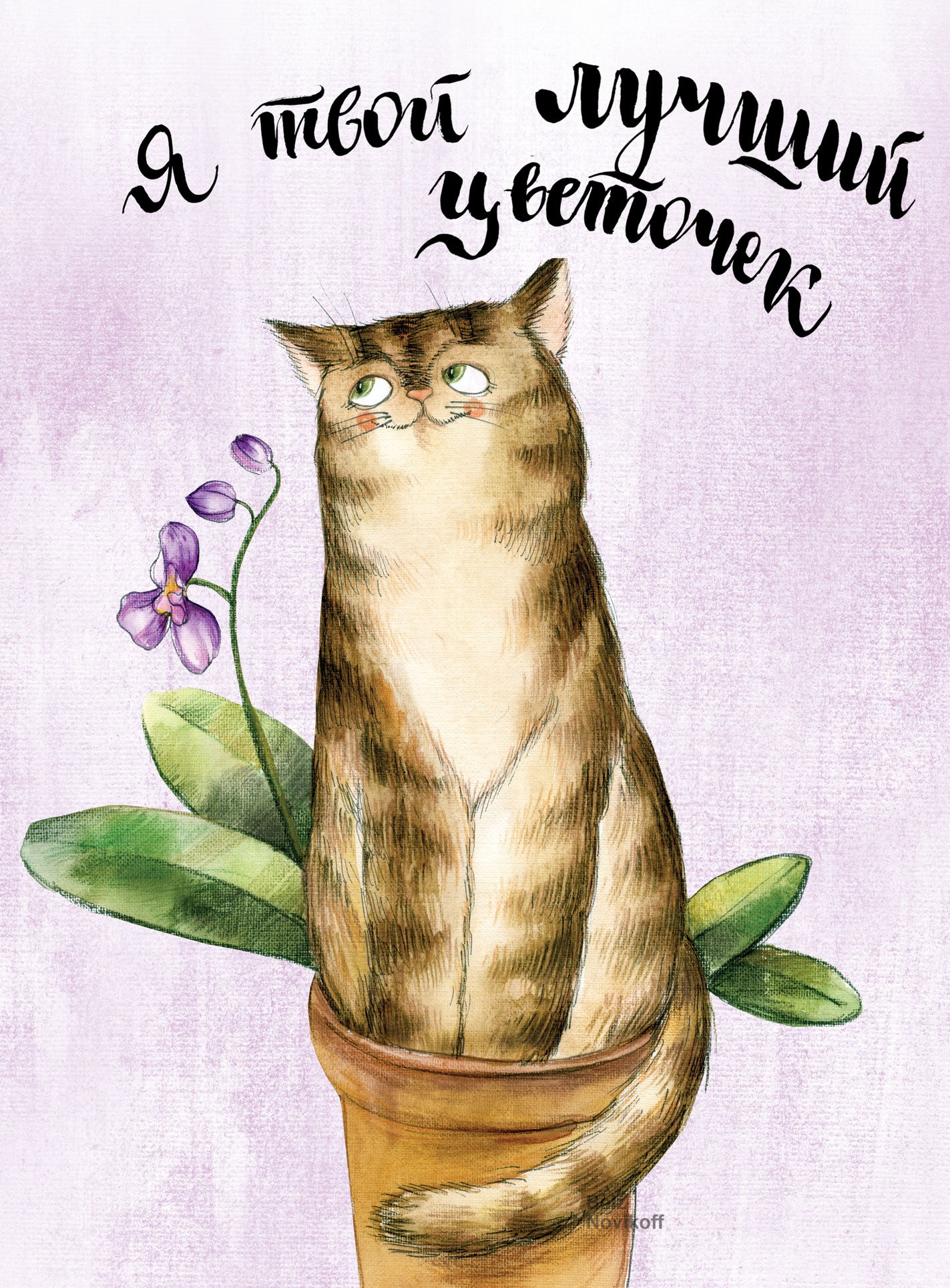 Поздравление кошечки. День кошек. День кошек открытки. Открытки с изображением кошек.