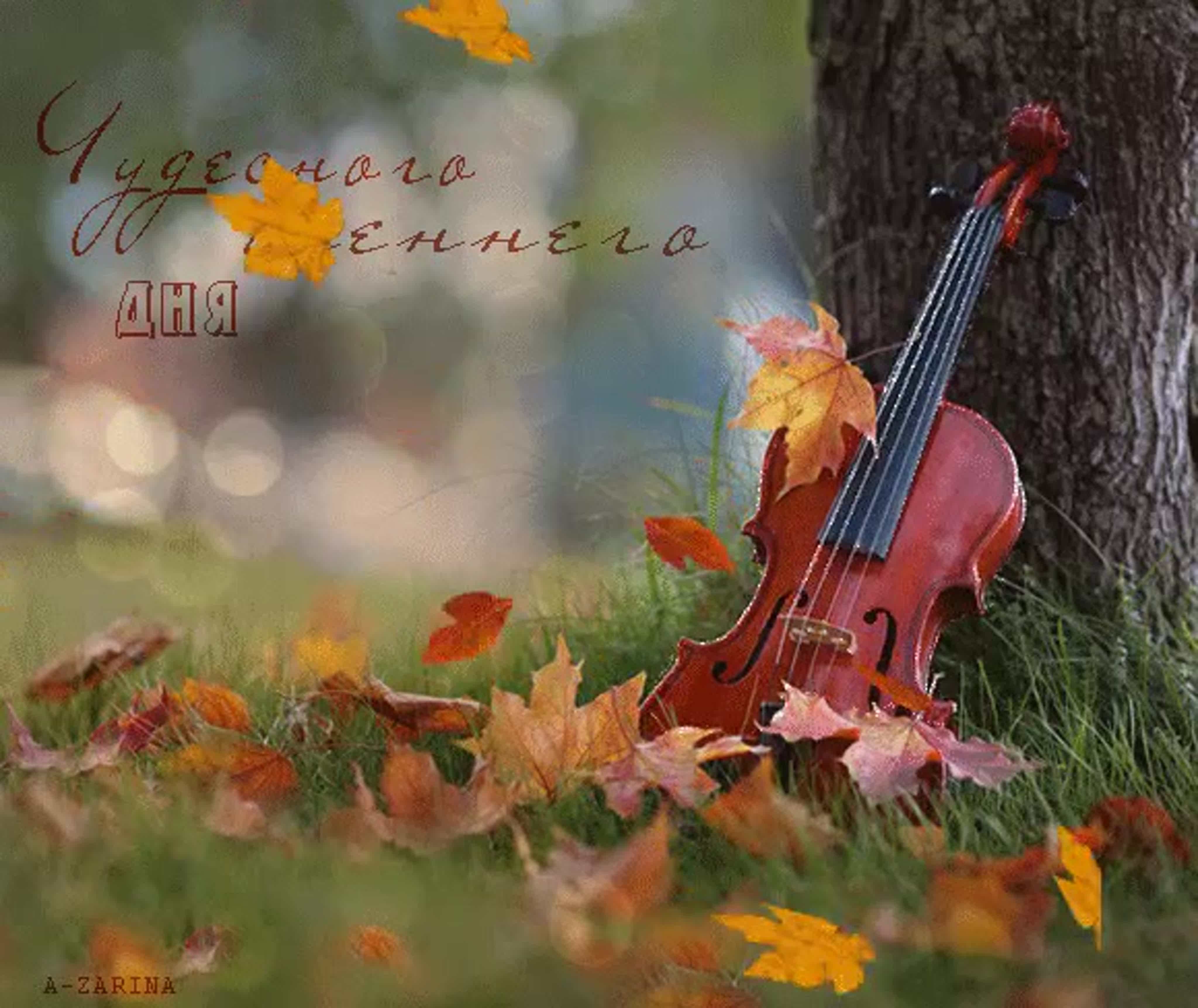 Приятные добрые песни. Осеннее настроение. Чудесного осеннего дня. Осень Вдохновение. Чудного осеннего дня.