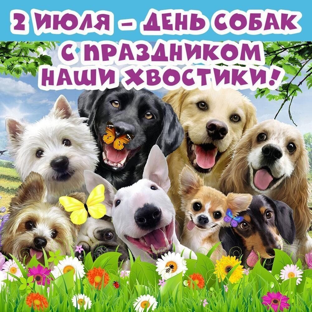 Международный день собак