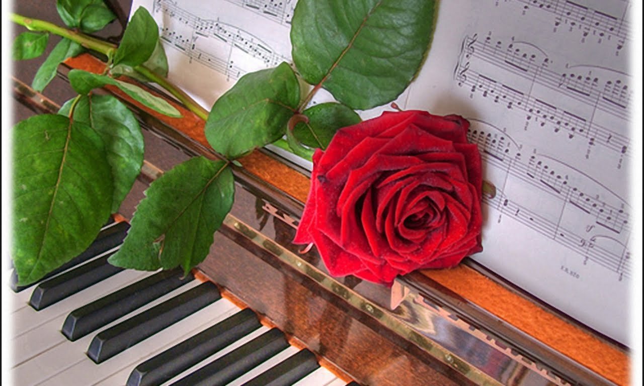 Поздравительная открытка песня. Цветы для музыканта. Музыкальный цветок. Фортепиано и цветы. Цветы на рояле.