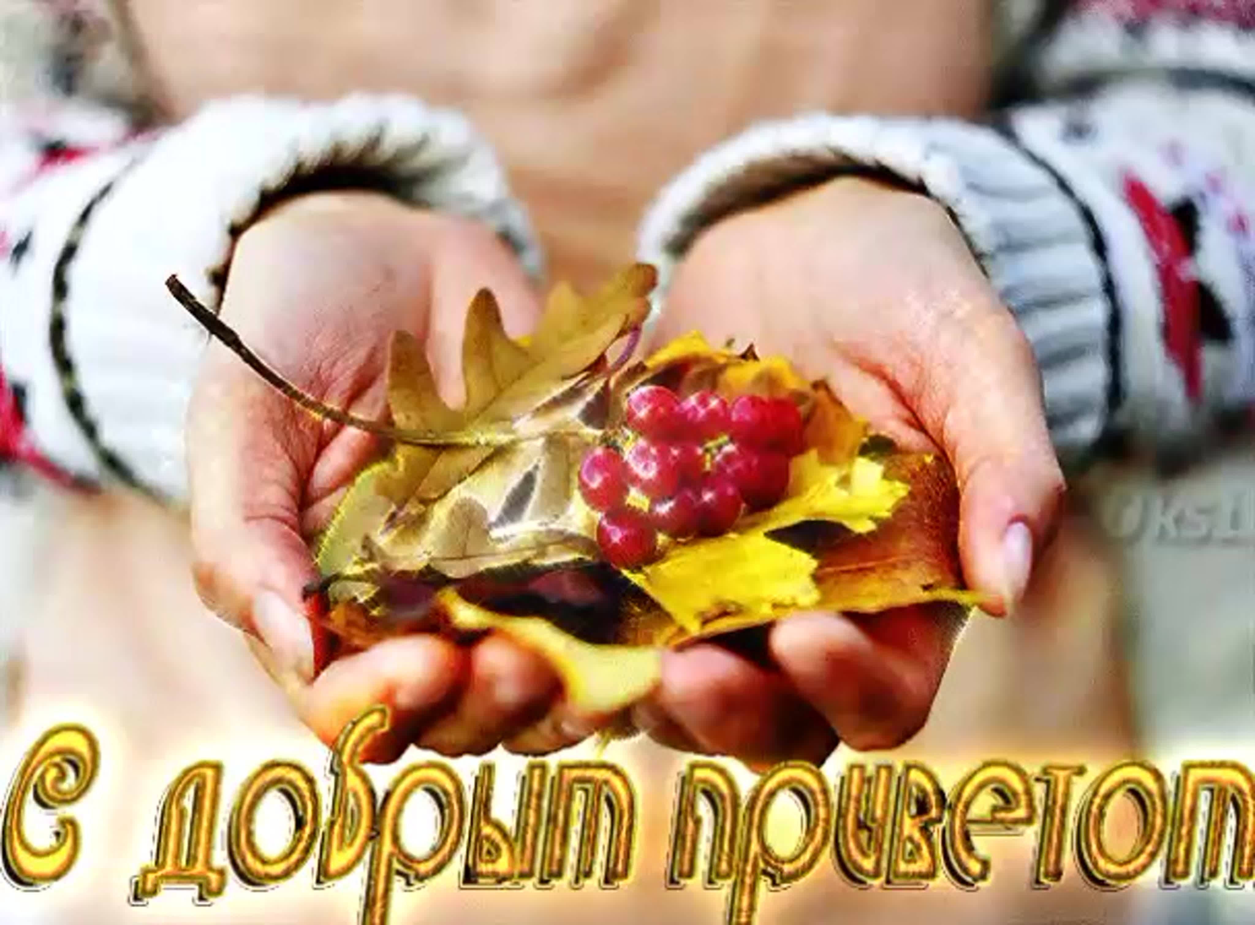 Осенние картинки с пожеланиями добра. Приветствие с добрым осенним утром. Доброго осеннего утра и крепкого здоровья. Доброго осеннего утра здоровья и добра. Доброе утро воскресенье осень октябрь.