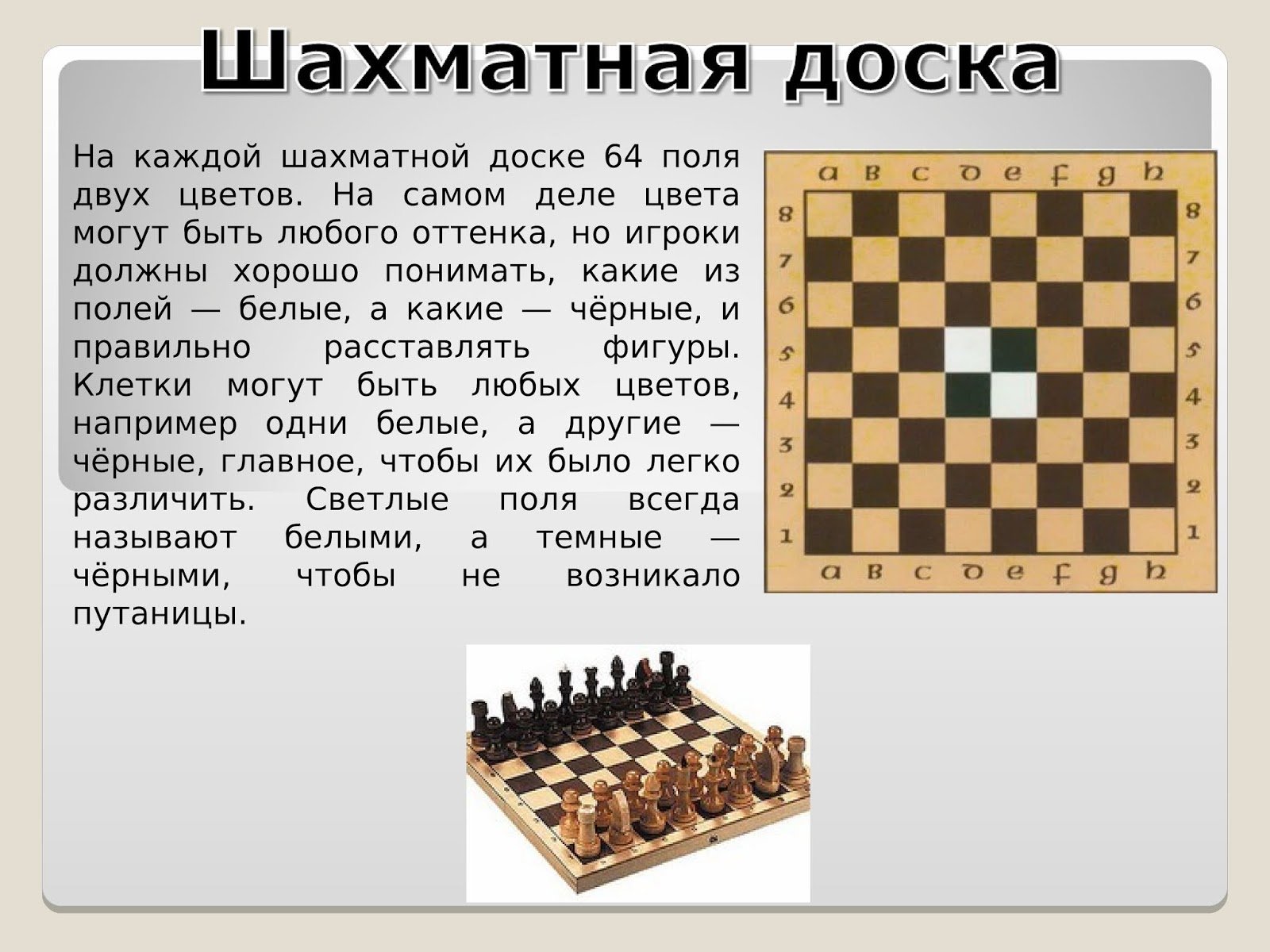 На шахматной доске 64 клетки поля. Король и ферзь в шахматах расстановка. Расположение фигур на шахматной доске. Правильная расстановка шахмат. Расстановка шахматных фигур Король.