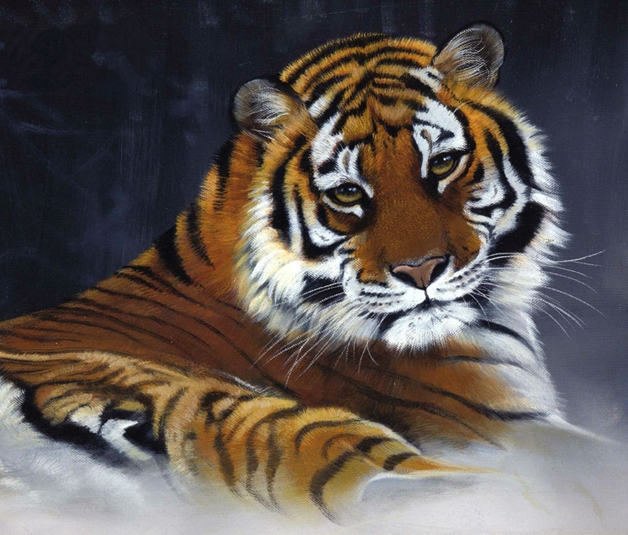 Тигр лень. Поллианна Пикеринг тигр. Портрет тигра. Открытка с тигром. Тигр компьютерная Графика.