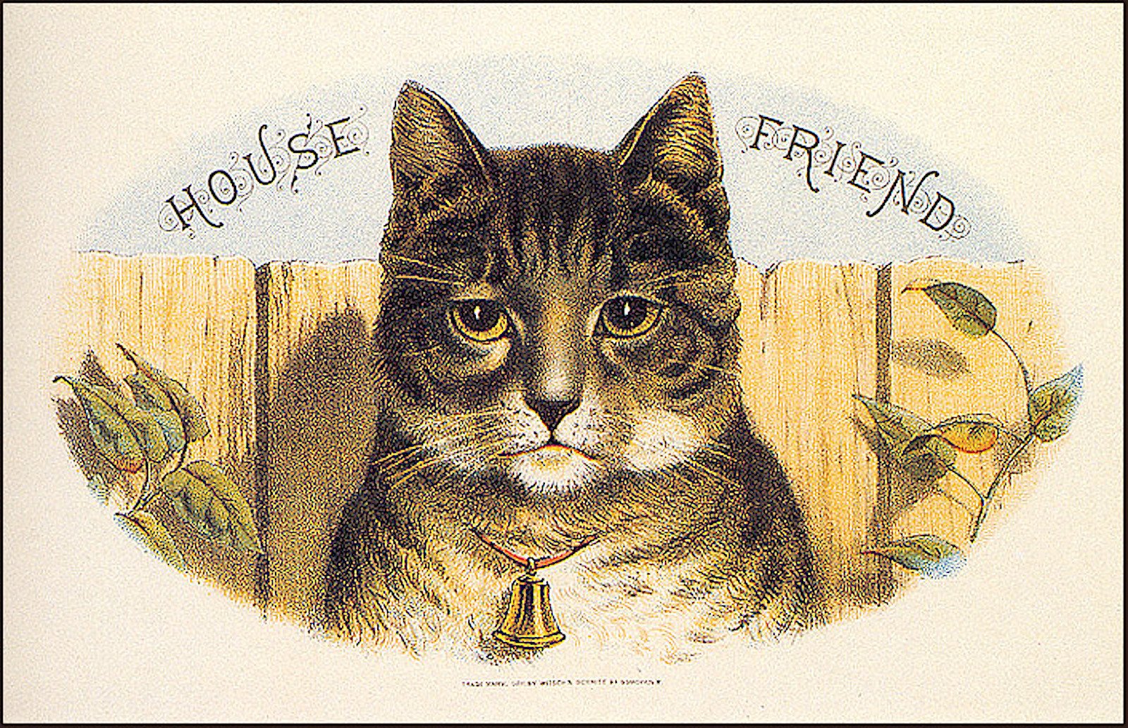 Открытка на 23 с котами. Открытка "кот". Старинные открытки с кошками. Винтажные открытки котики. Винтажные открытки с кошками.