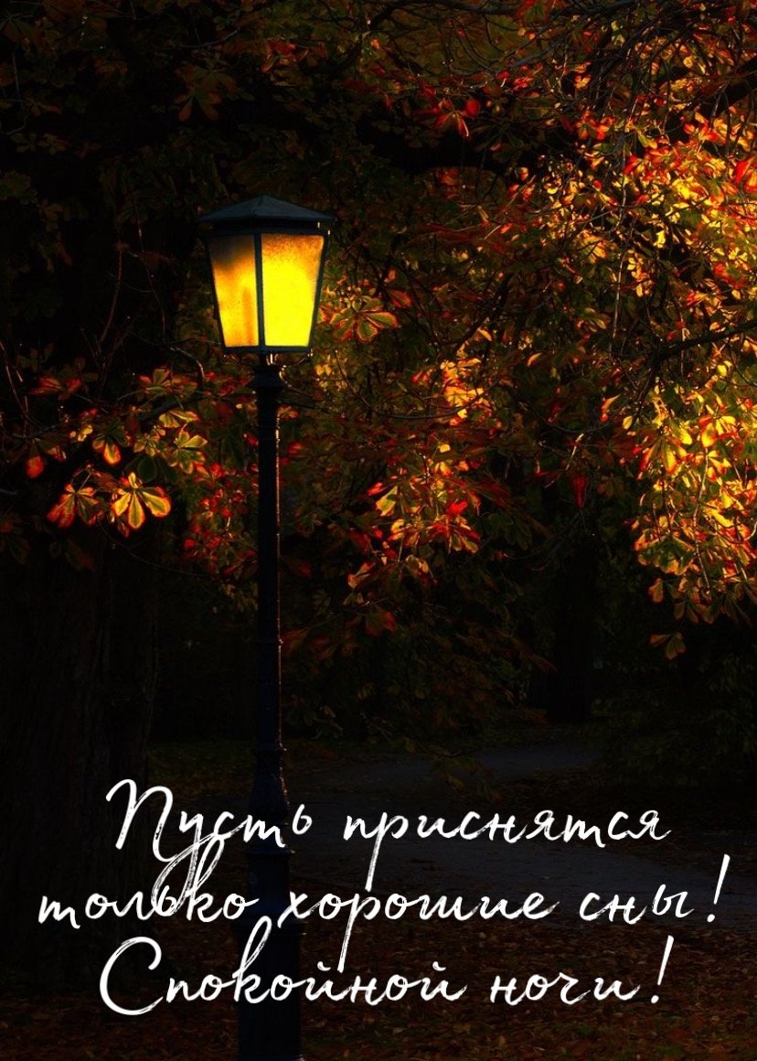 В свете фонарей текст. Осень ночь. Фонари в парке. Осень вечер. Ночь осенью.