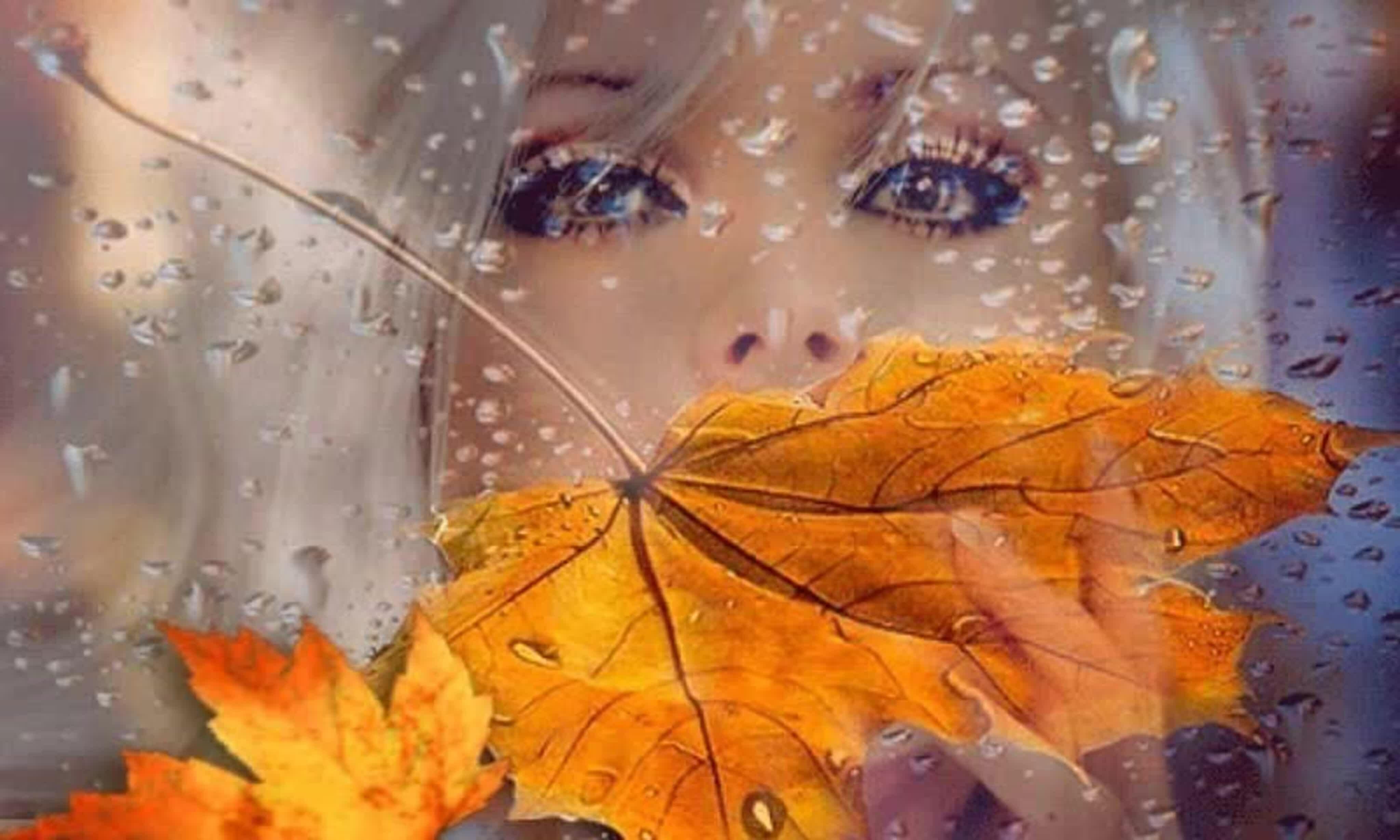 Ветер играет легкой листвою. Осенний дождь. Осень дождь. Осень грусть. Осень плачет.
