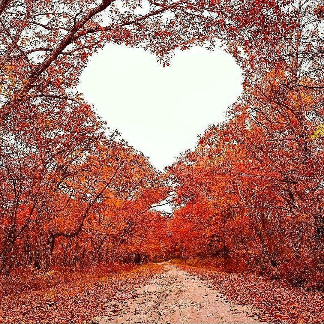 Осень любовь