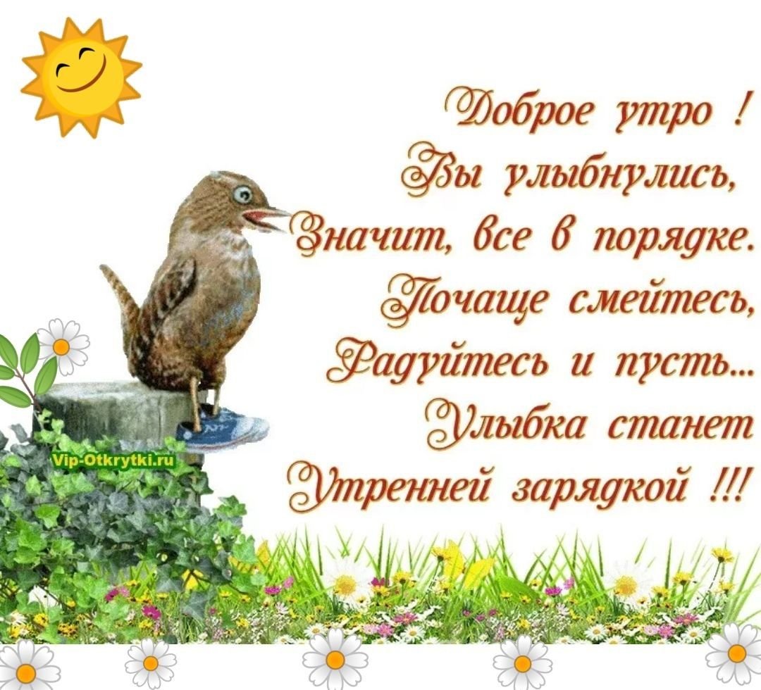 Смейтесь радуйтесь слова. Добрые пожелания и высказывания. С добрым утром с пожеланиями мудрыми и добрыми. Умные поздравления с добрым утром. Открытки с добрым утром с птицами.