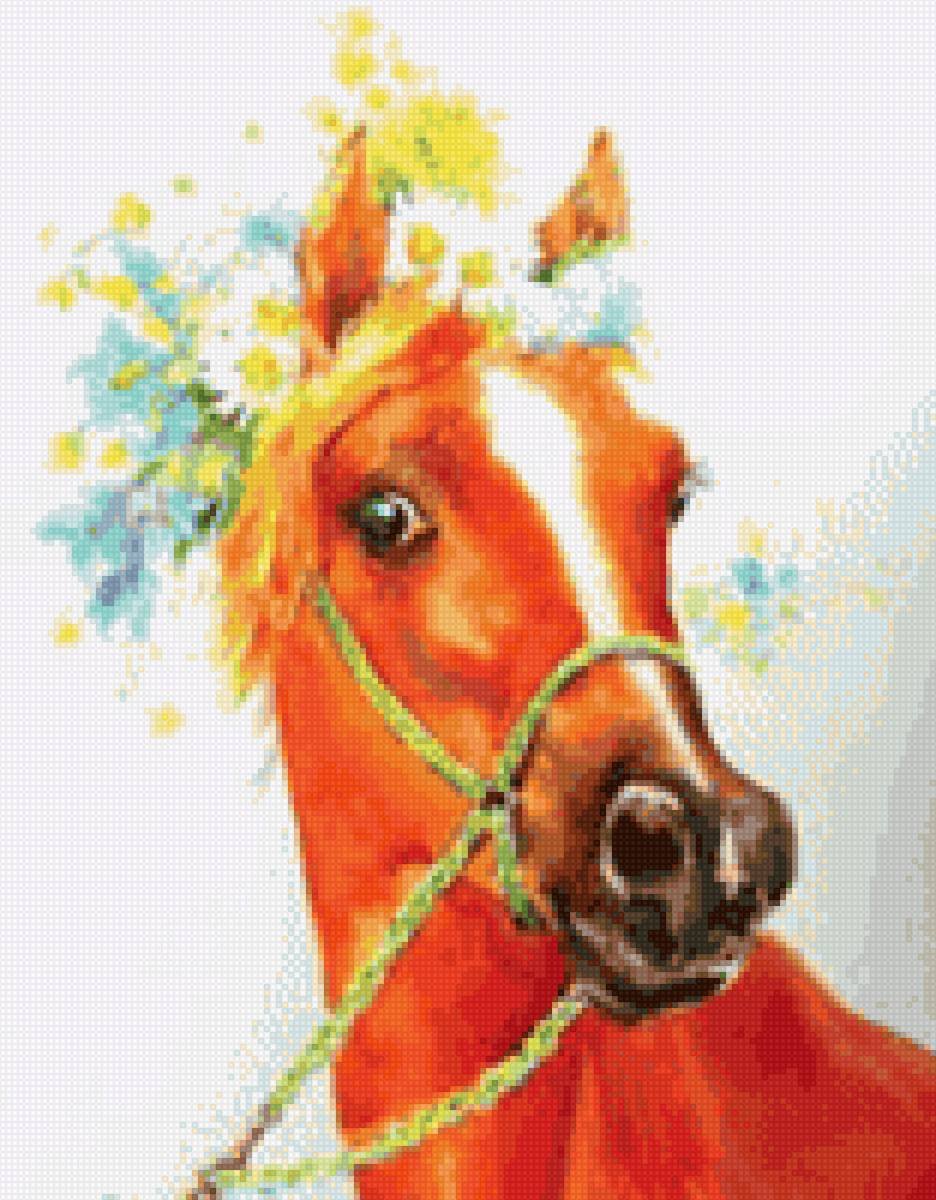 Цветные лошадки