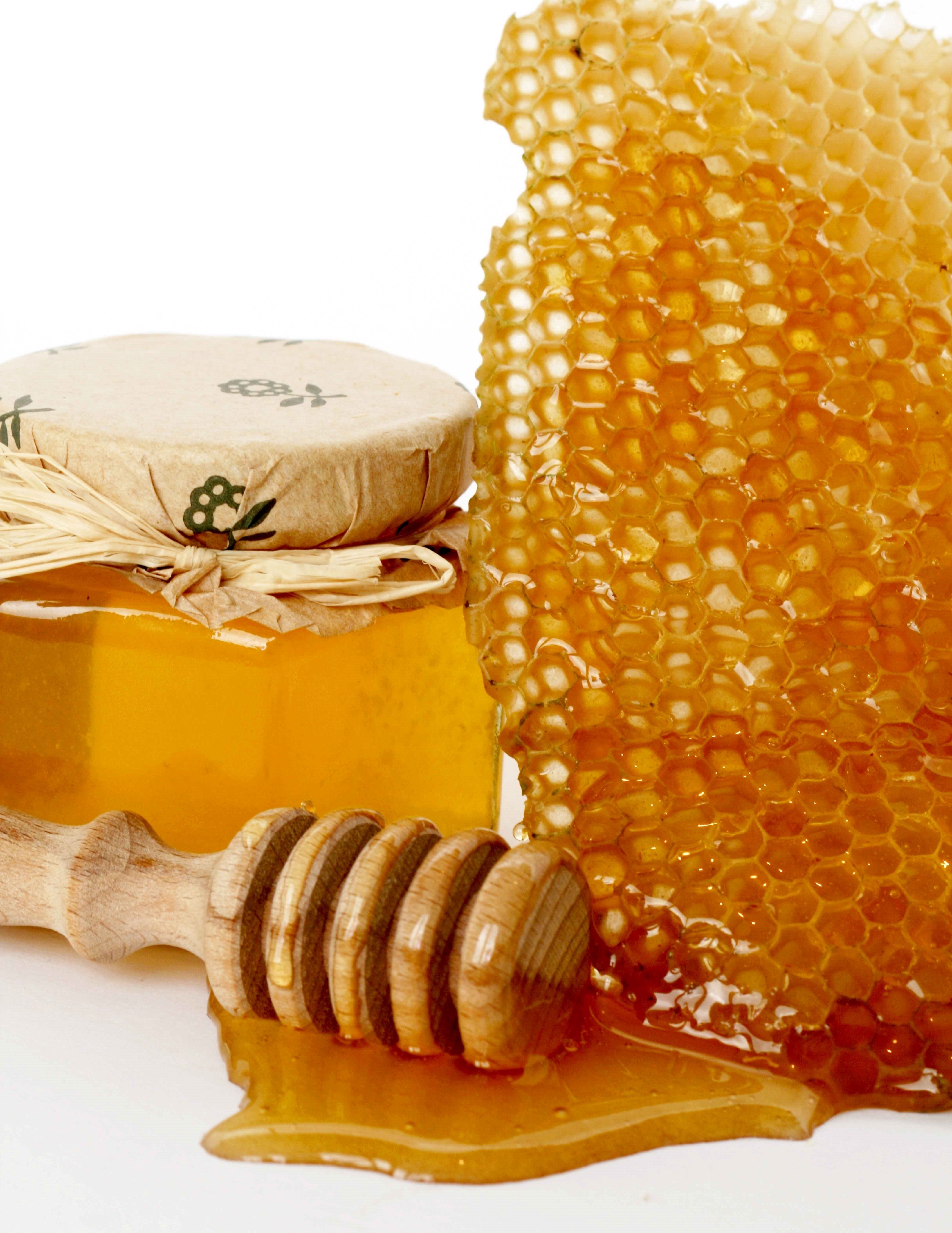 Вкушая вкусив мало меда. Соты меда. Пчелиный мёд. Мёд и продукты пчеловодства. Красивый мед.