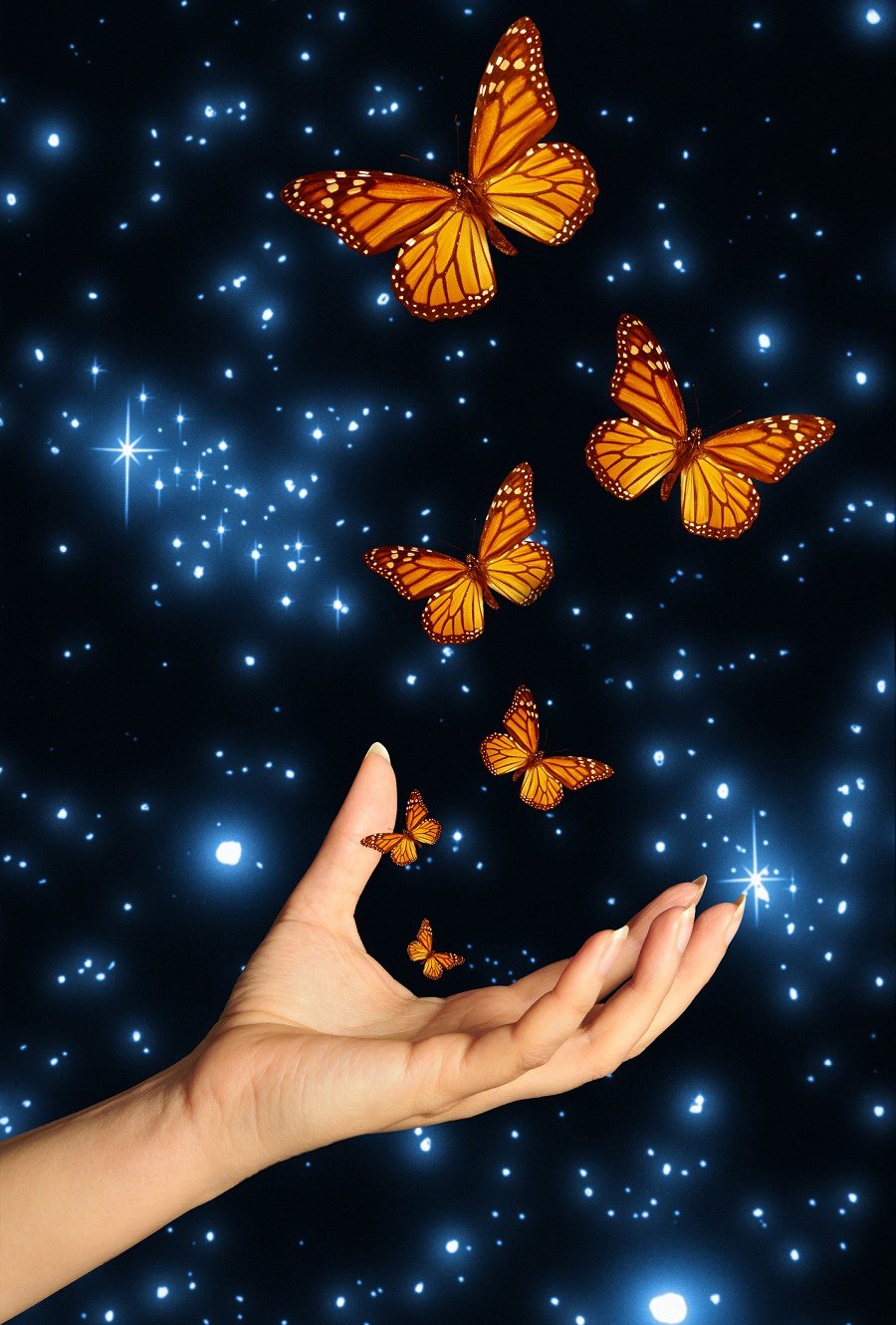 Спящие ночью бабочки. Бабочка на ладони. На руку бабочка. Волшебство бабочки. Вечер бабочки.