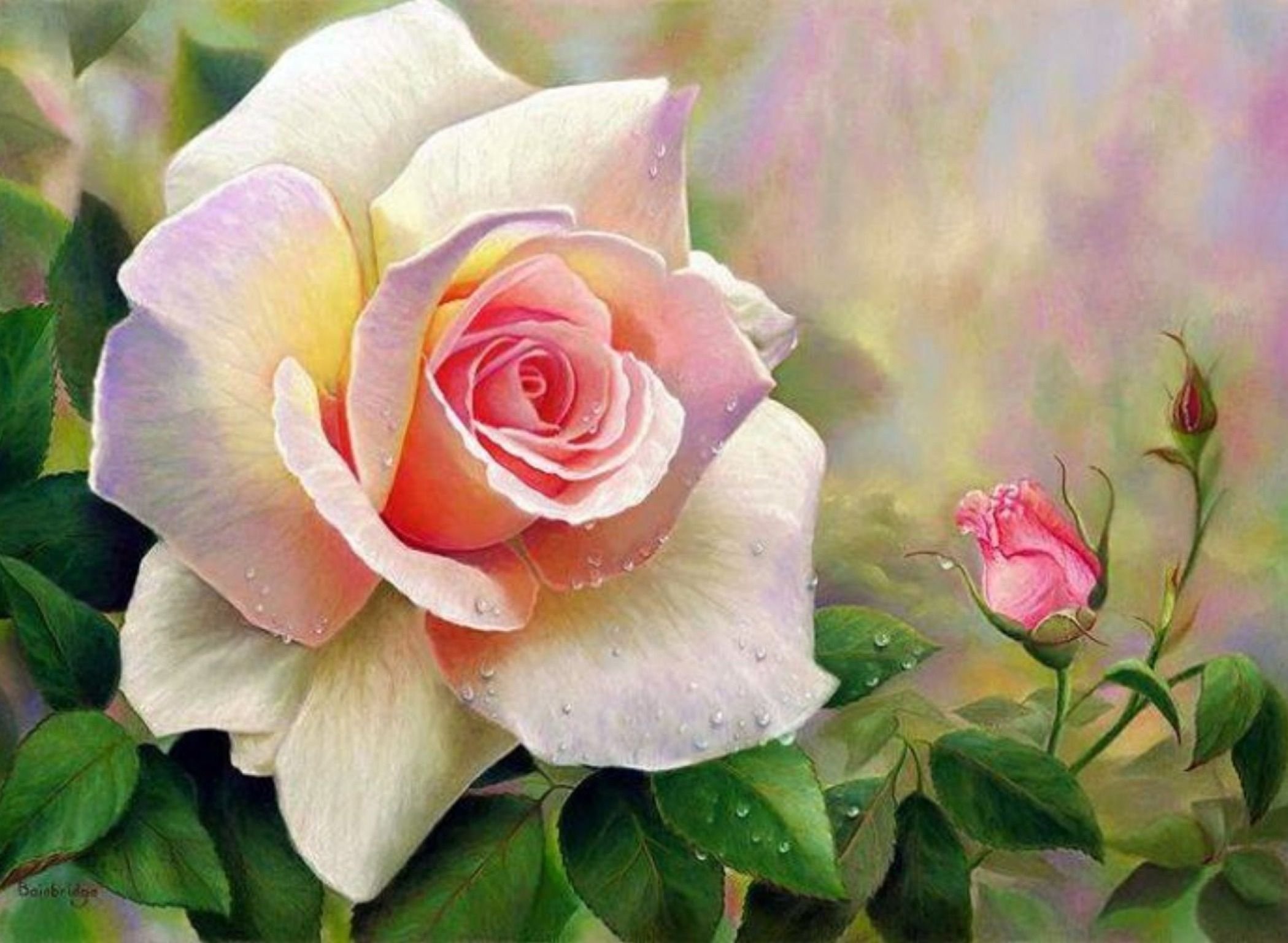 День рождение желаю радости песня. Австралийская художница Maureen Bainbridge. Приятные цветы. Счастья любви добра цветы. Красивые цветы с пожеланиями.