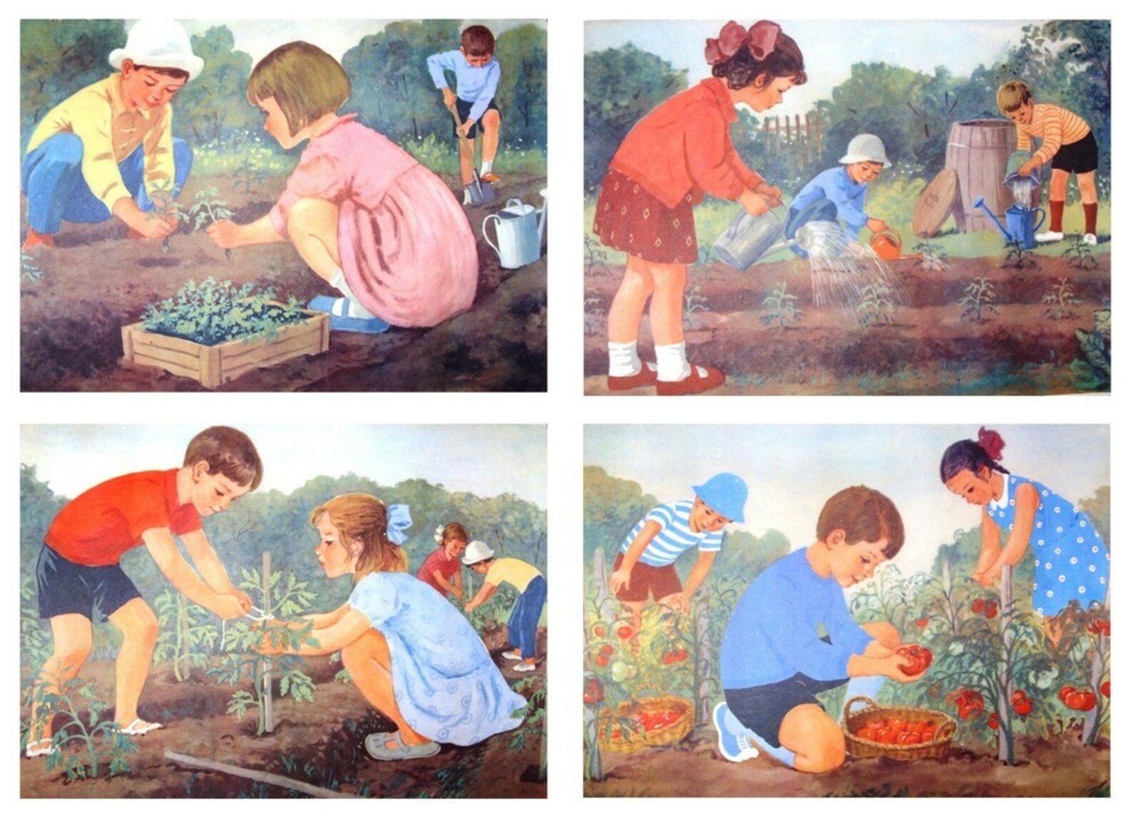 Каждодневный труд. Сюжетные картины. Сюжетные картины для детей. Труд в огороде. Сюжетный рисунок для детей.
