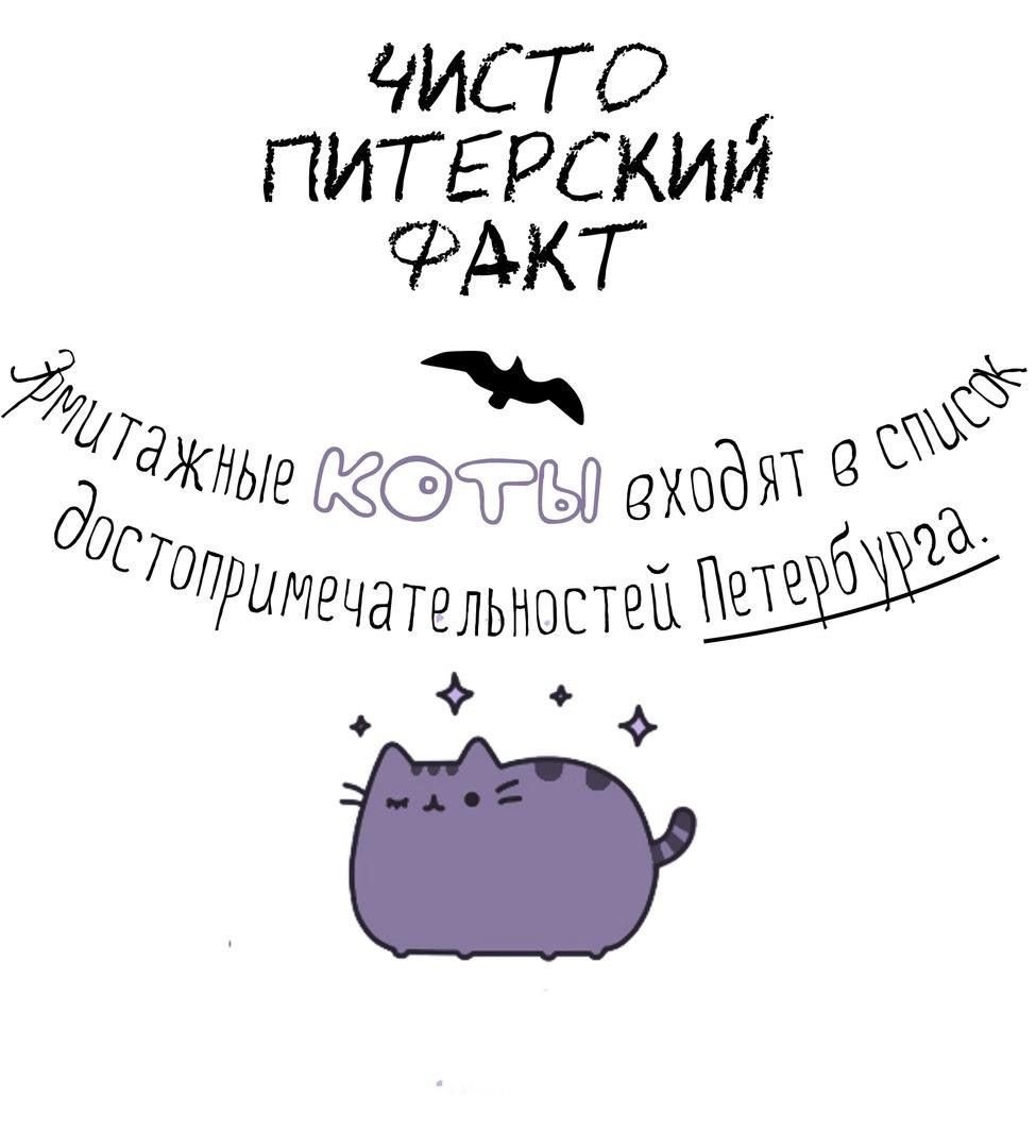 Петербургские коты Татьяны Родионовой