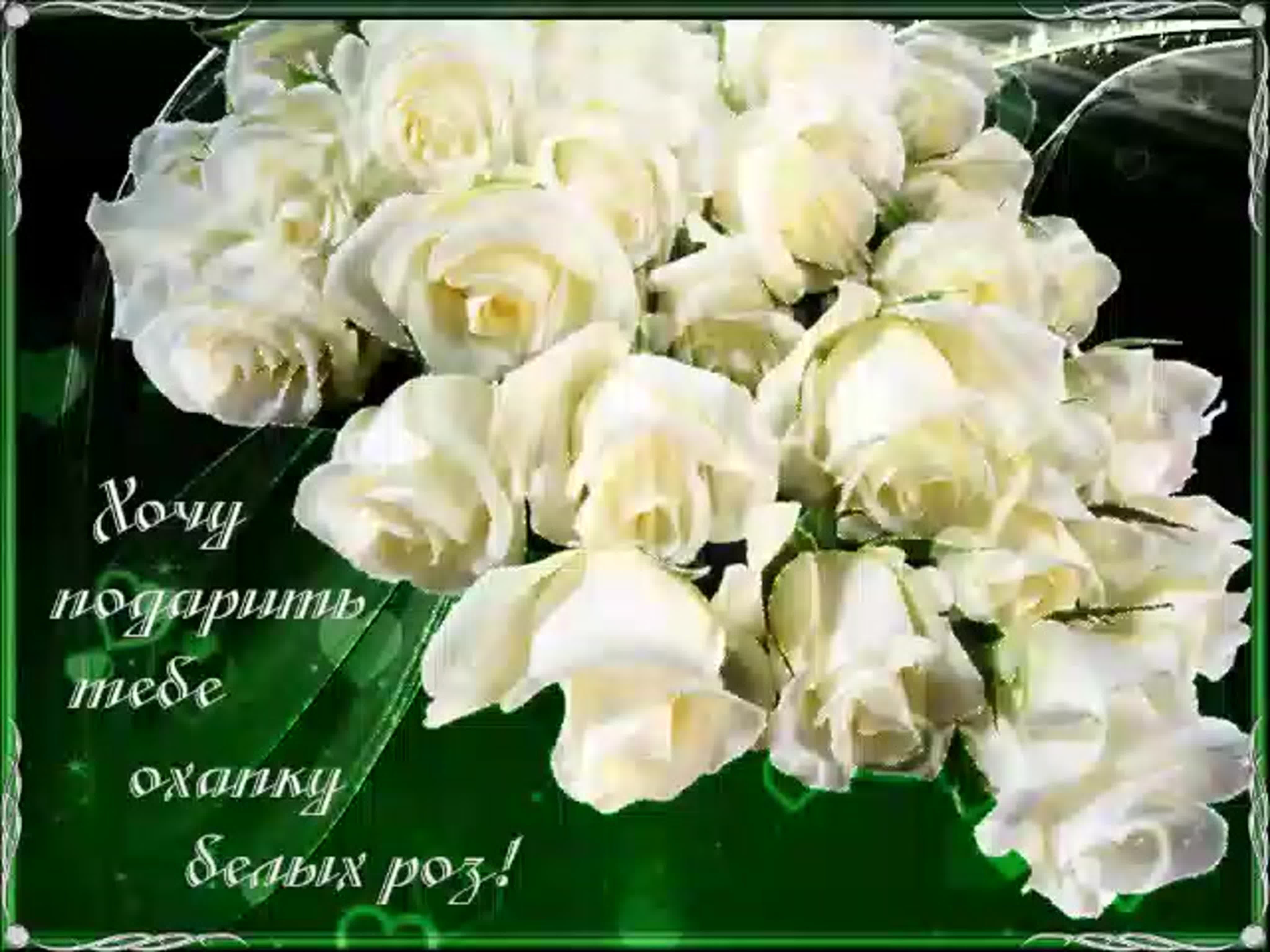 Поздравление с белыми розами
