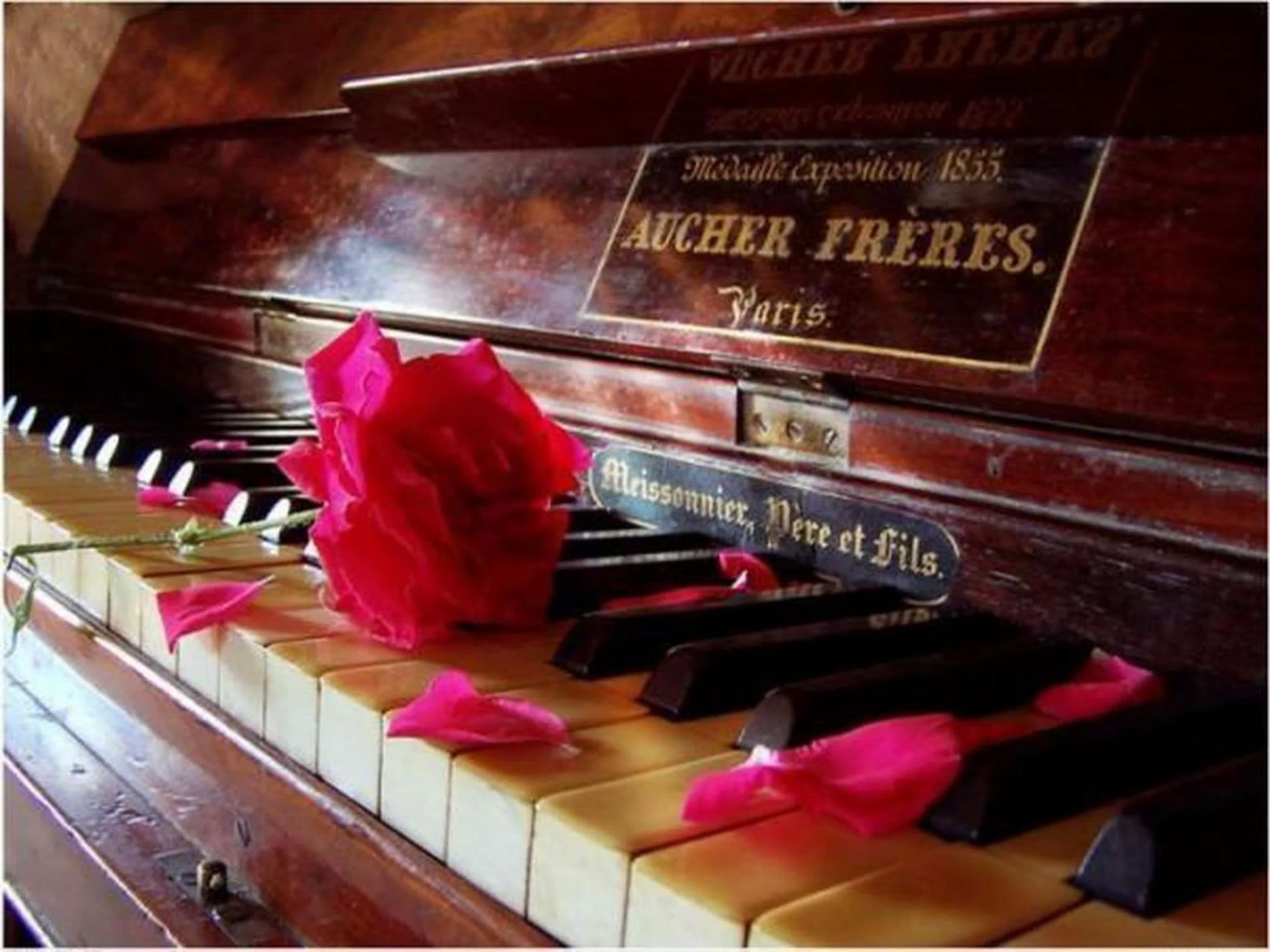 Душераздирающие мелодии. Цветы на рояле. Фортепиано в цветах. Пианино картинки красивые. День пианиста.