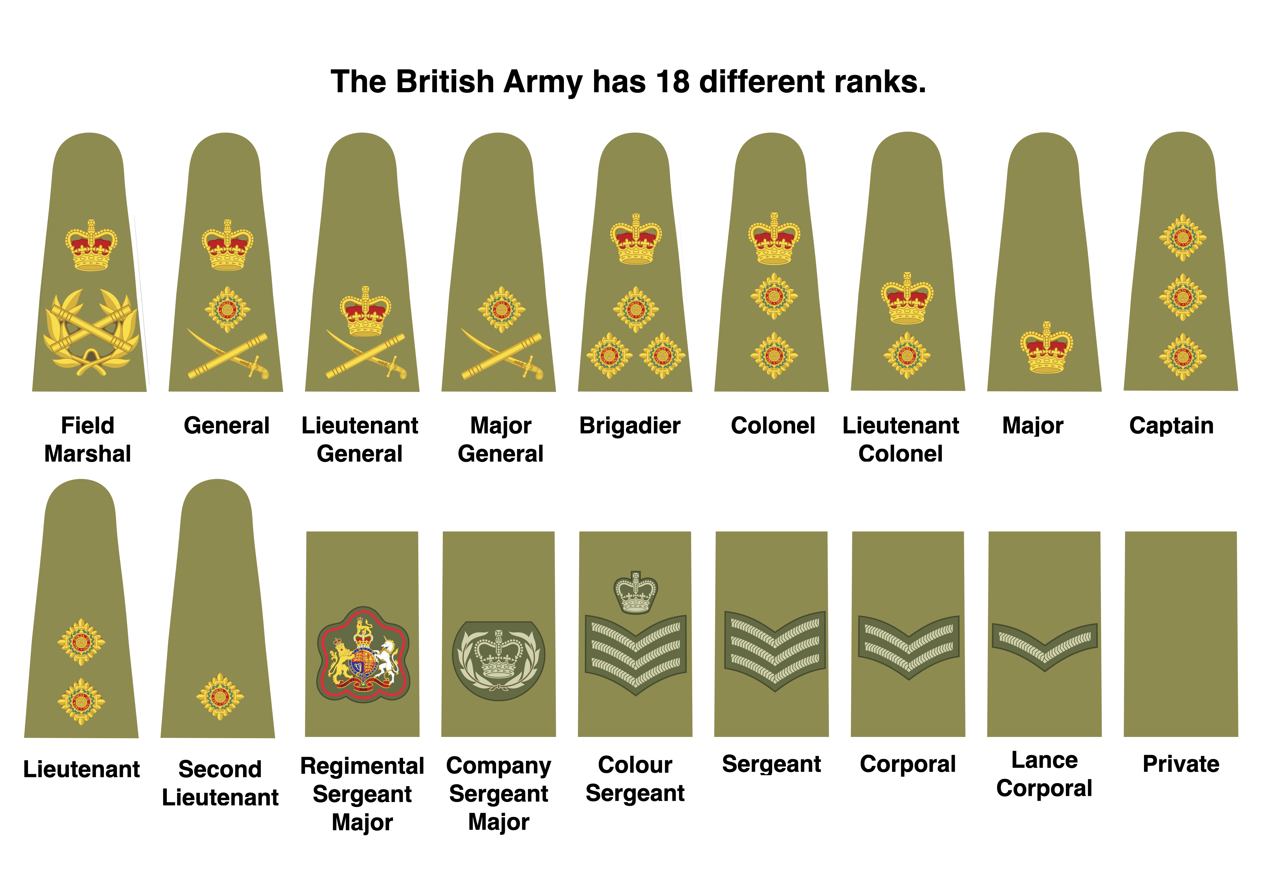 Воинские звания знаки различия военнослужащих