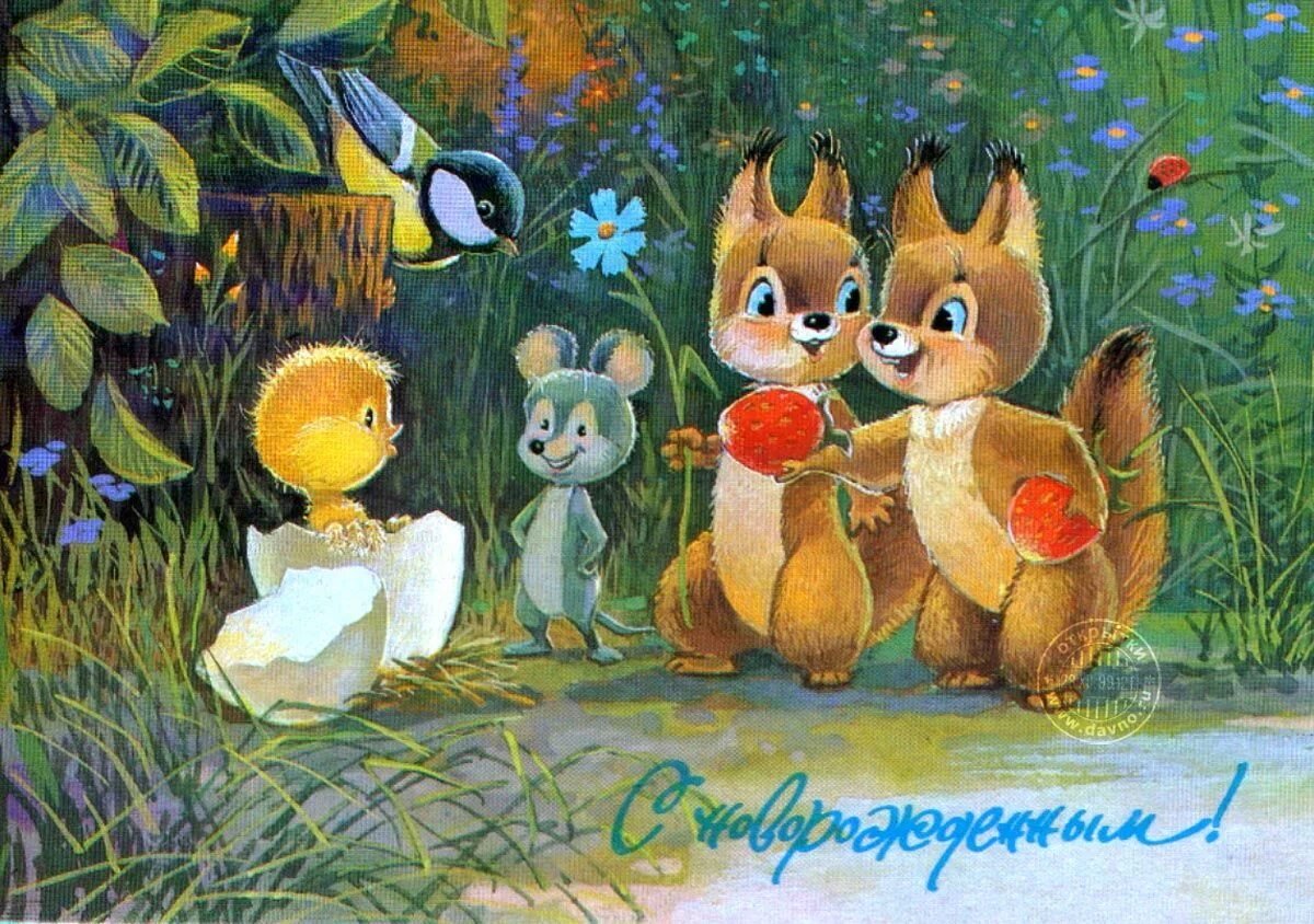 Советские открытки с животными