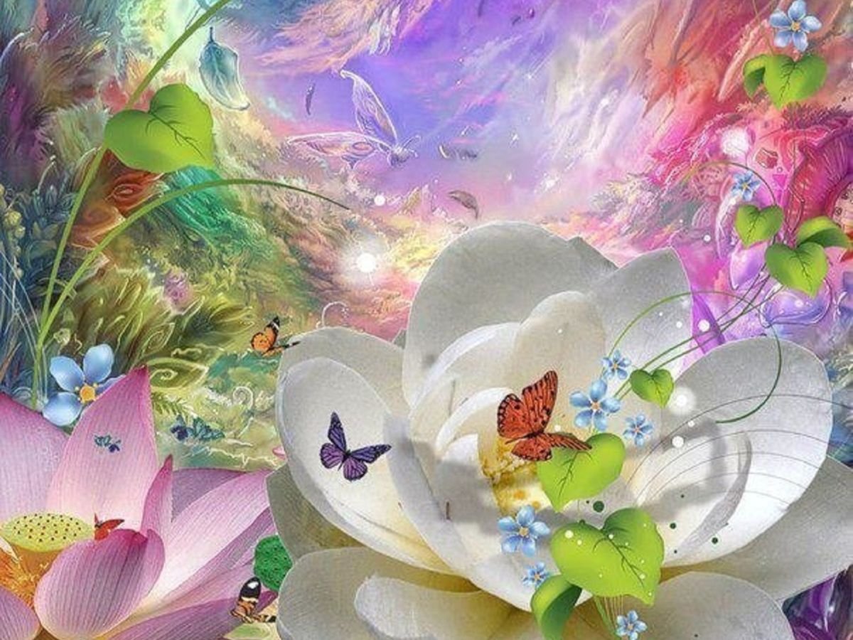 Желаю жить в гармонии. Сказочные цветы. Волшебный цветок. Чудесные цветы. Цветок гармонии и счастья.