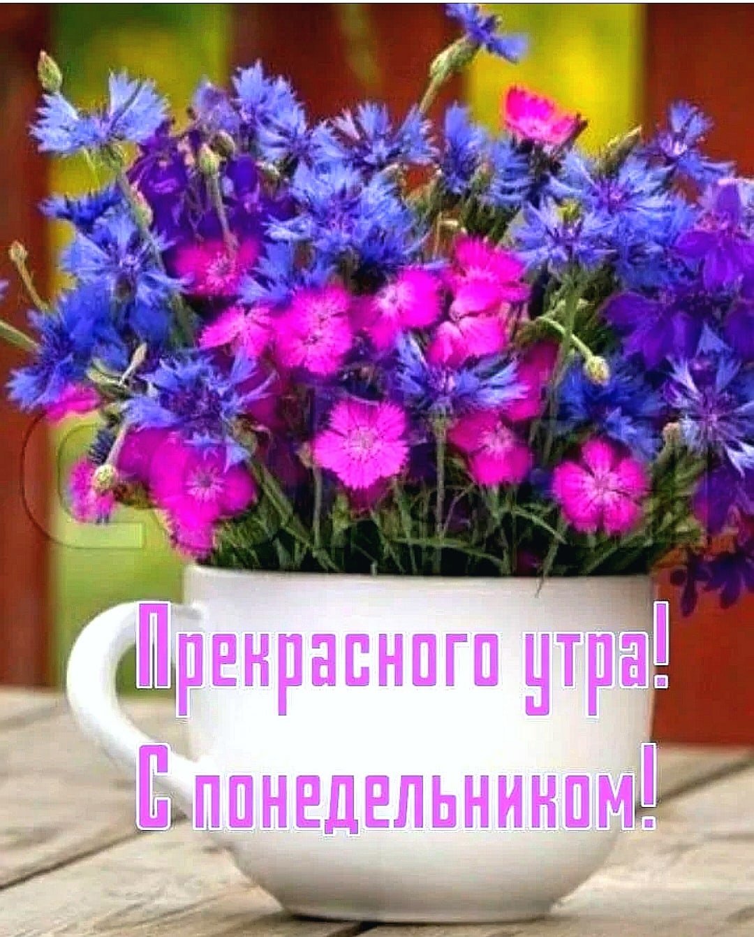 Картинка с цветами доброе утро хорошего дня. Цветы с добрыми пожеланиями. Доброе утро цветы с пожеланиями. Поздравления с добрым утром цветы. Открытки с добрым утром с цветами.