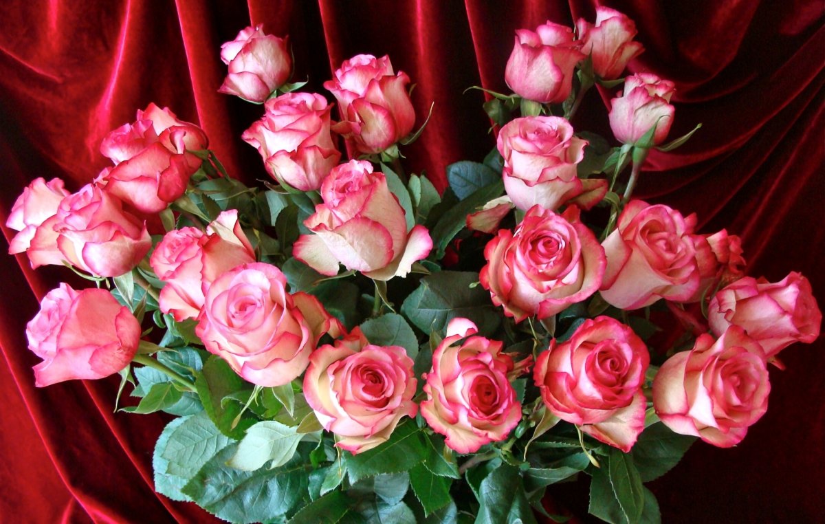 Букет роз с добрыми пожеланиями