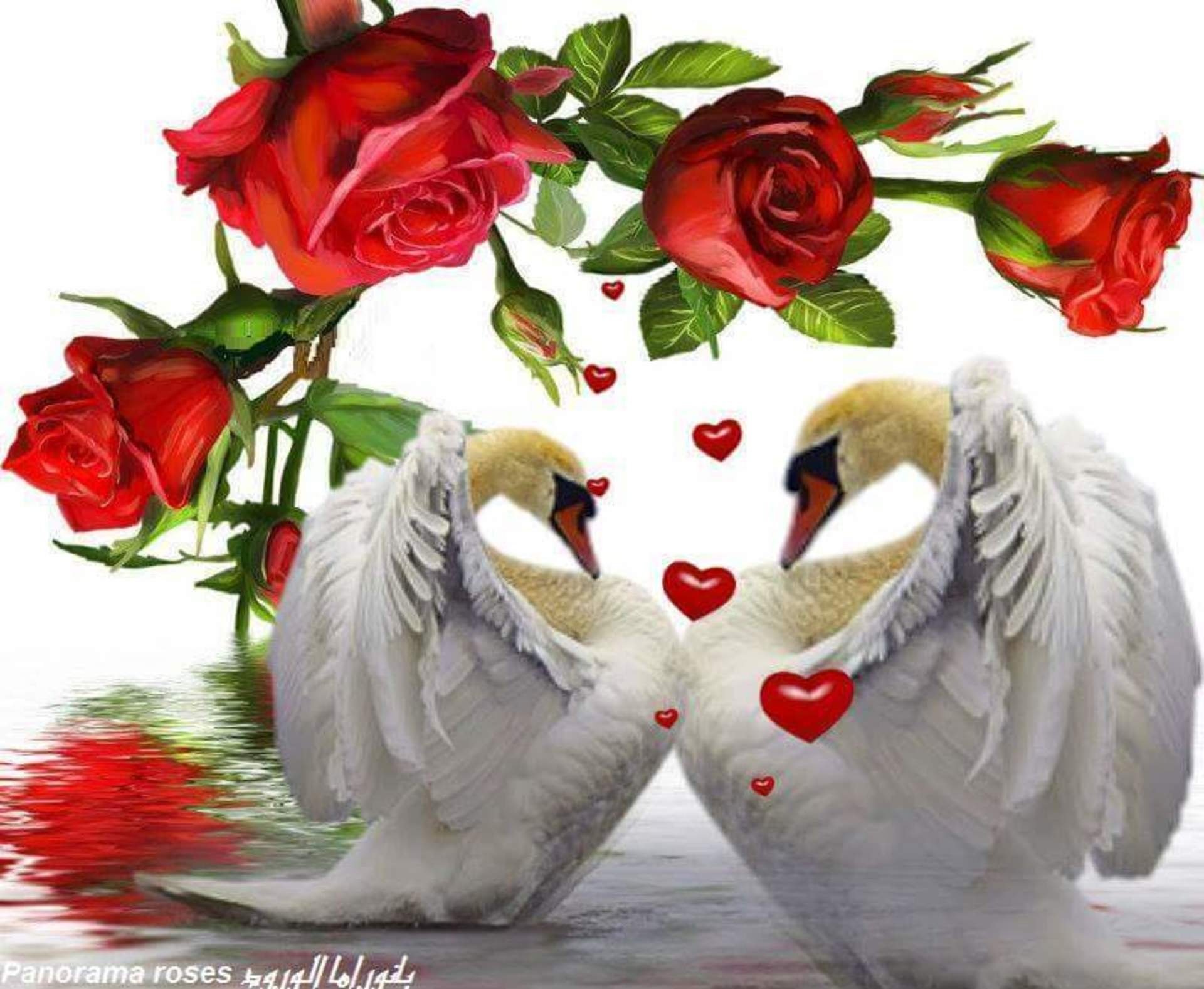 Замечательной паре. Лебеди с розами. Любви и счастья вам. Открытка красивая пара счастья вам.