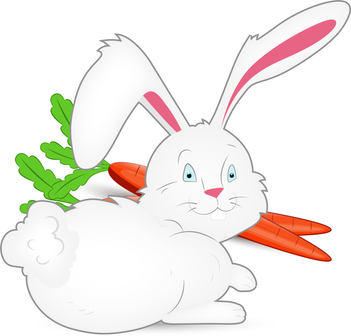 Зайчик морковь. Заяц с морковкой рисунок. Заяц с морковкой картинка для детей. Зайчик с морковкой картинки для детей. Зайка с морковкой рисунок.