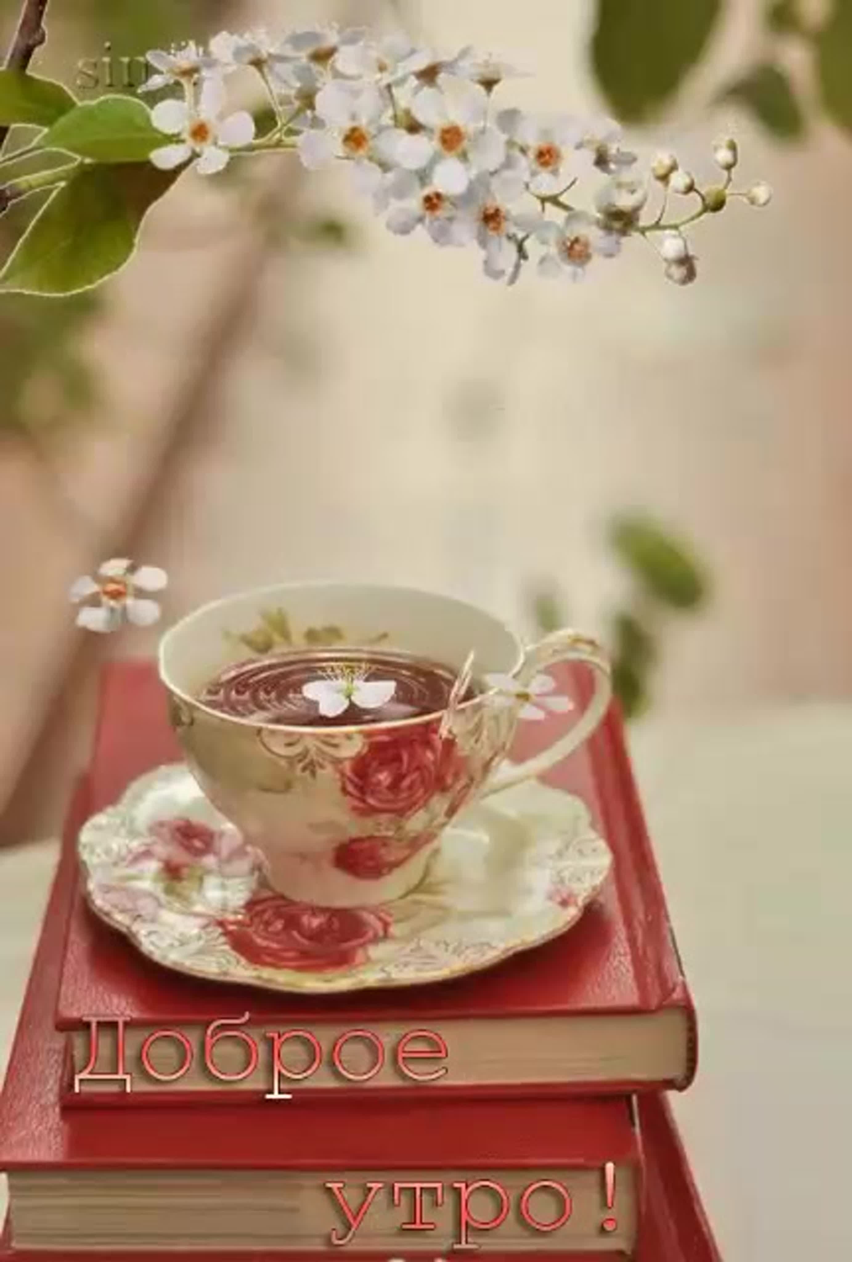 Доброе весеннее утро с чаем. Красивый чай. Чашка чая и цветы.