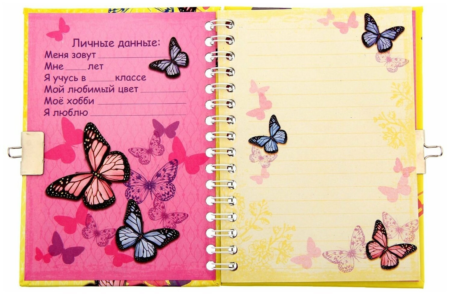 Что можно писать в л. Оформление личного дневника. Красивые дневники для девочек. Личный дневник для девочки. Украсить личный дневник для девочки.