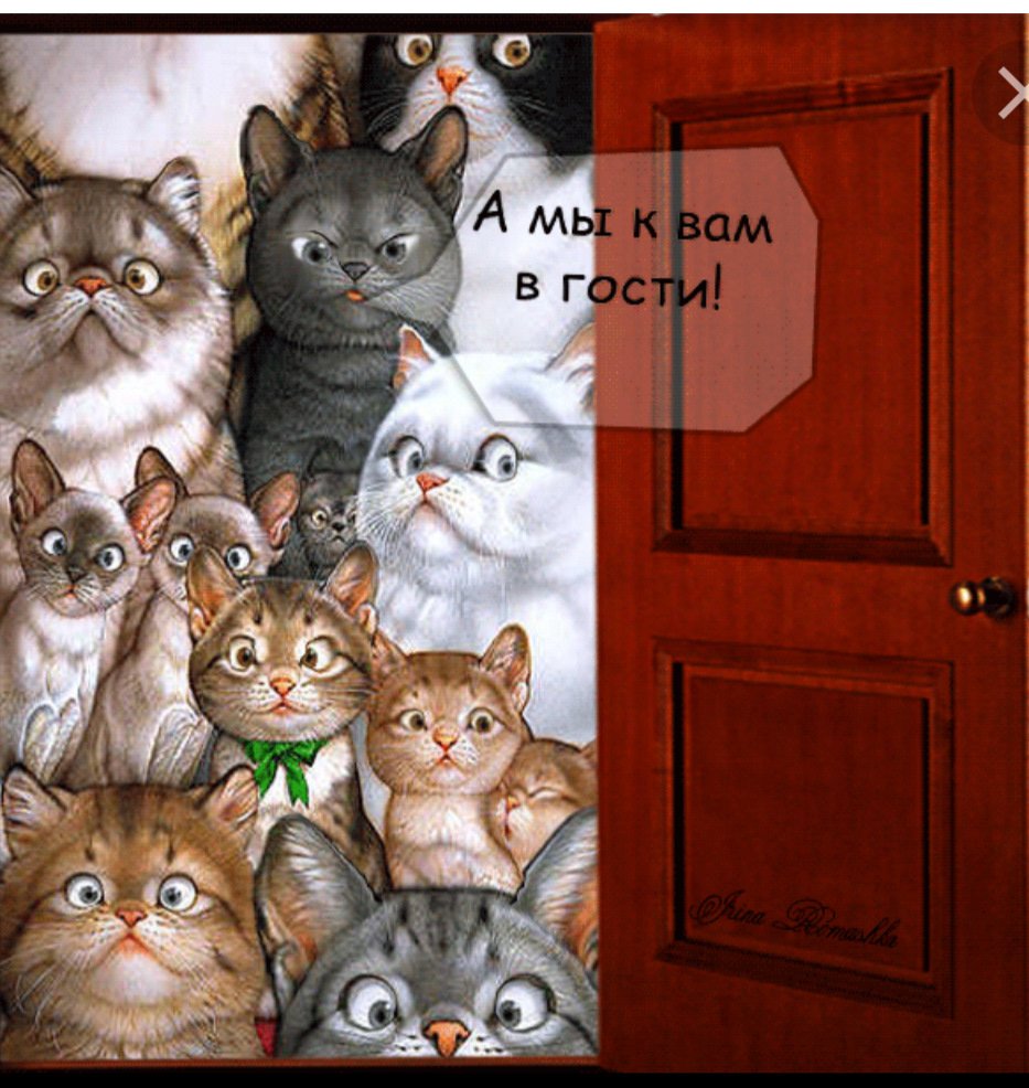 Друг пришел в гости 18. Открытка кошки. Открытки с кошками прикольные. День кошек. Весёлые открытки с котиками.