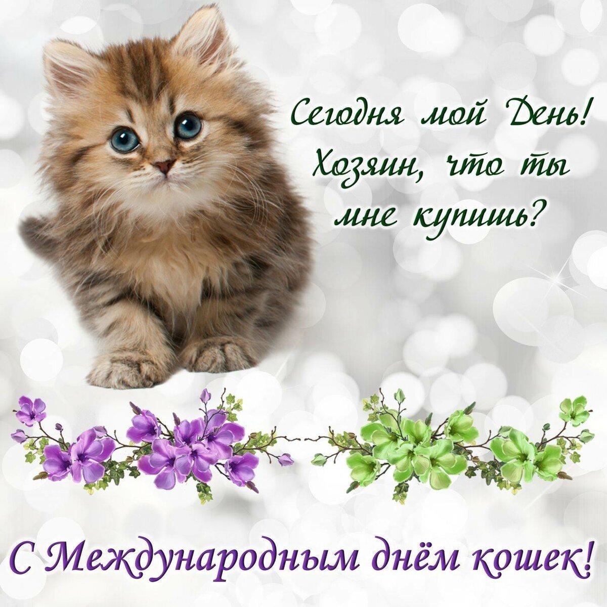 Международный день кошек 8 августа