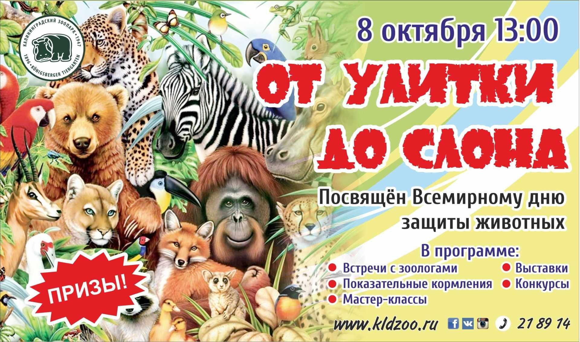 Мир животных праздник. День защиты животных. Всемирный день защиты животных. Афиша зоопарка для детей. Приглашаем в зоопарк.