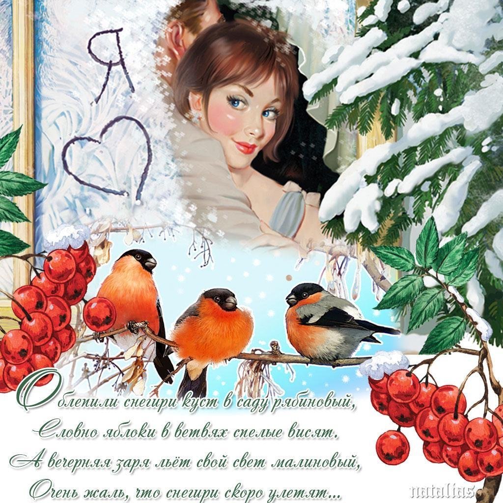 День рождения зимняя открытка. Открытка зимняя. Красивые зимние поздравления. Добрый день зимой. Зимние открытки со снегирями.