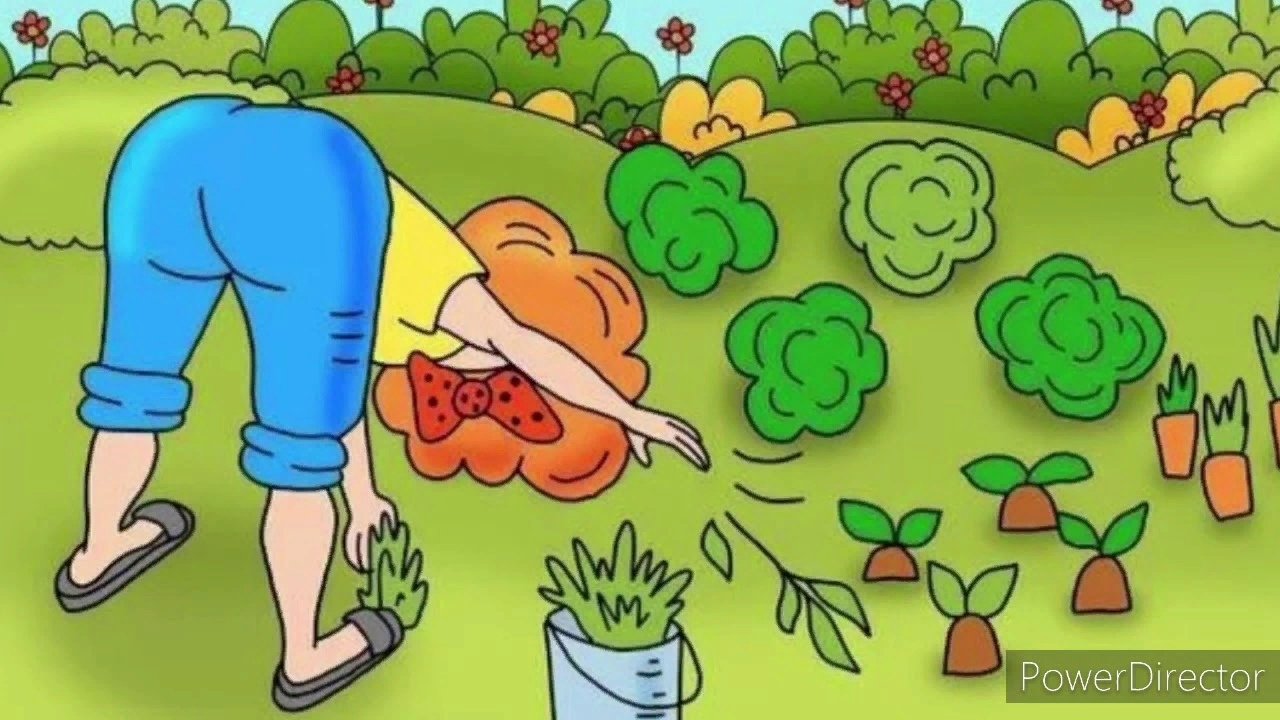 Соседская тетя. Огород карикатура. Огород рисунок. Огород юмор. Огород летом.